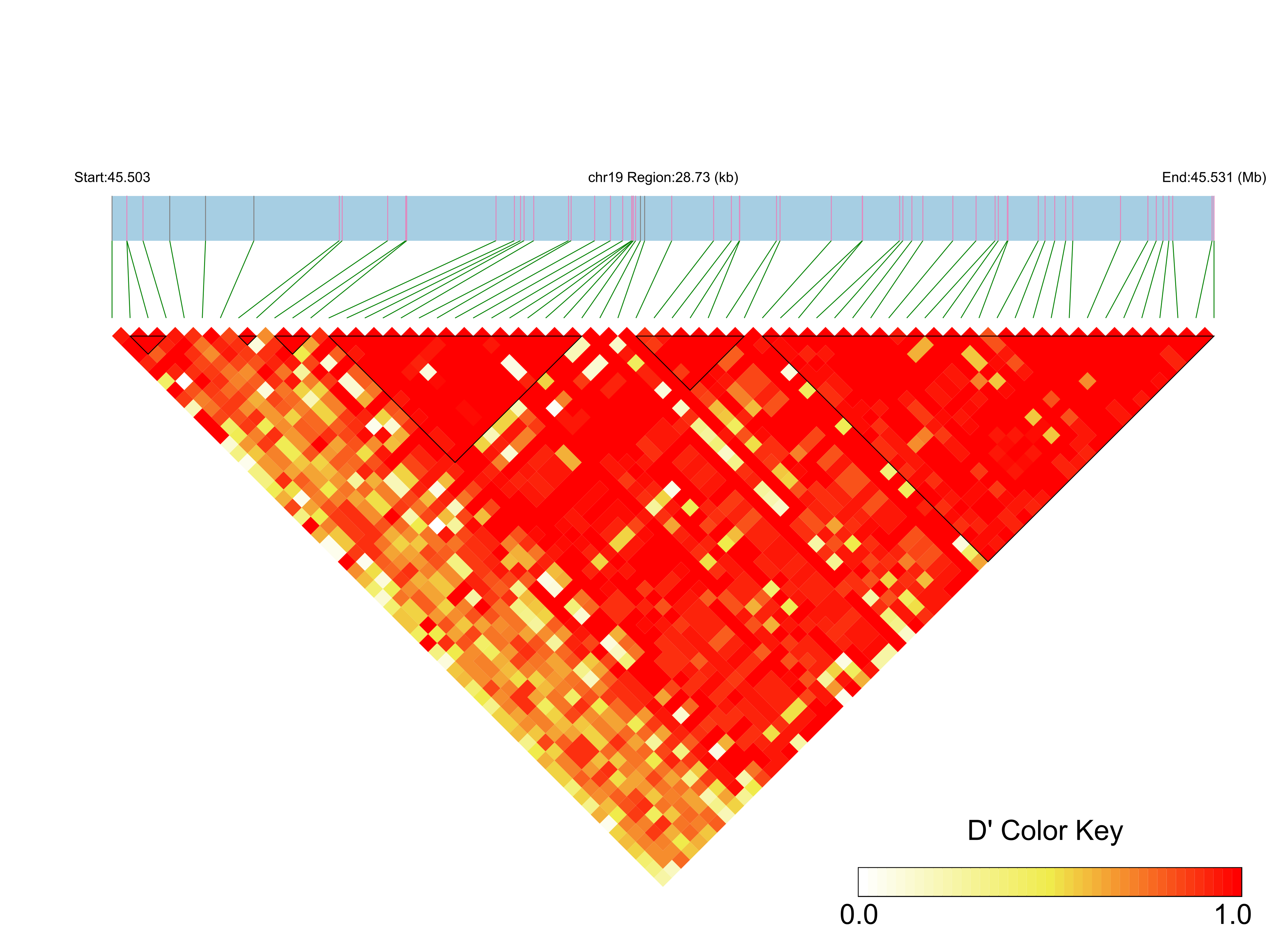 LD