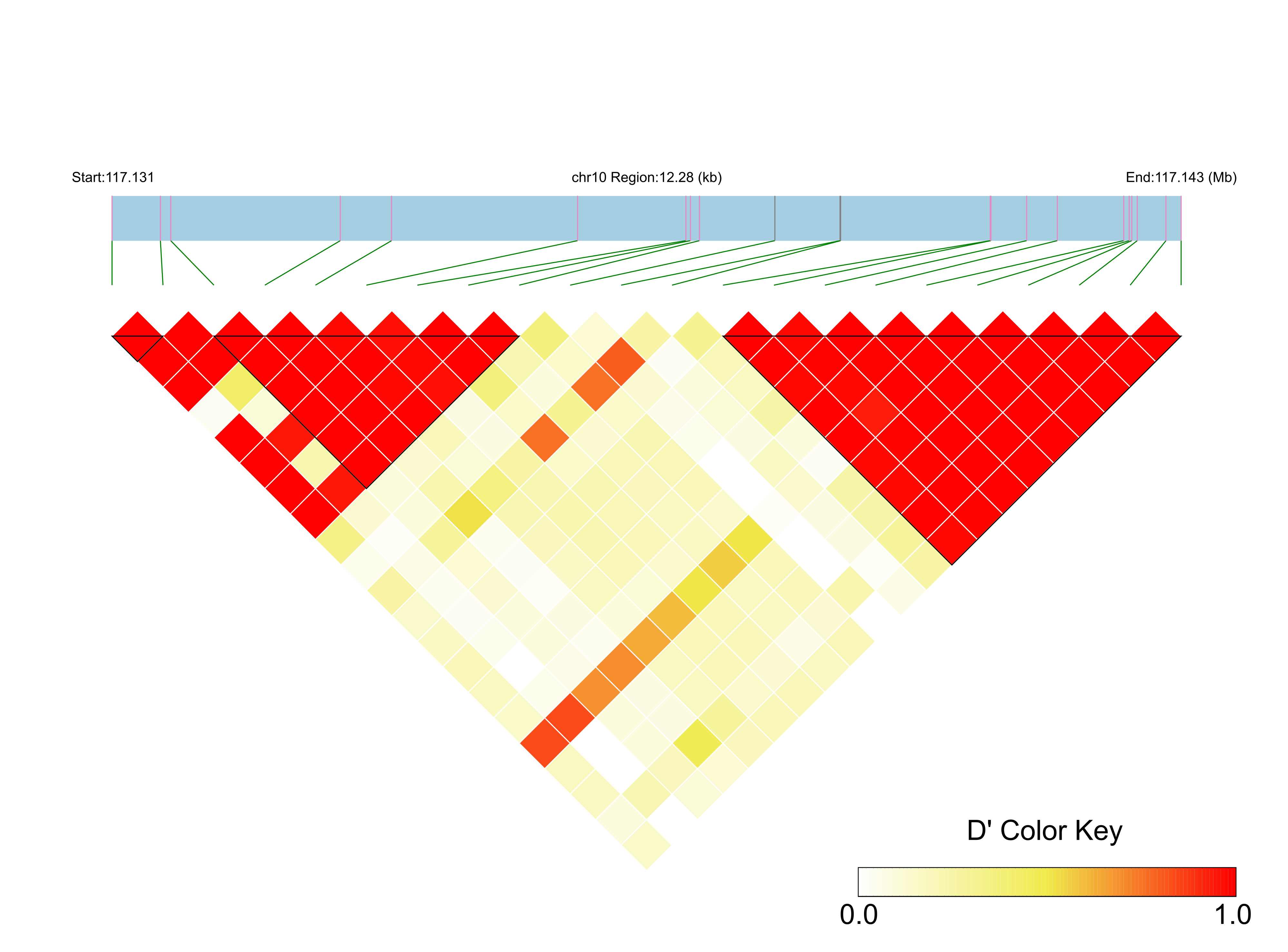 LD