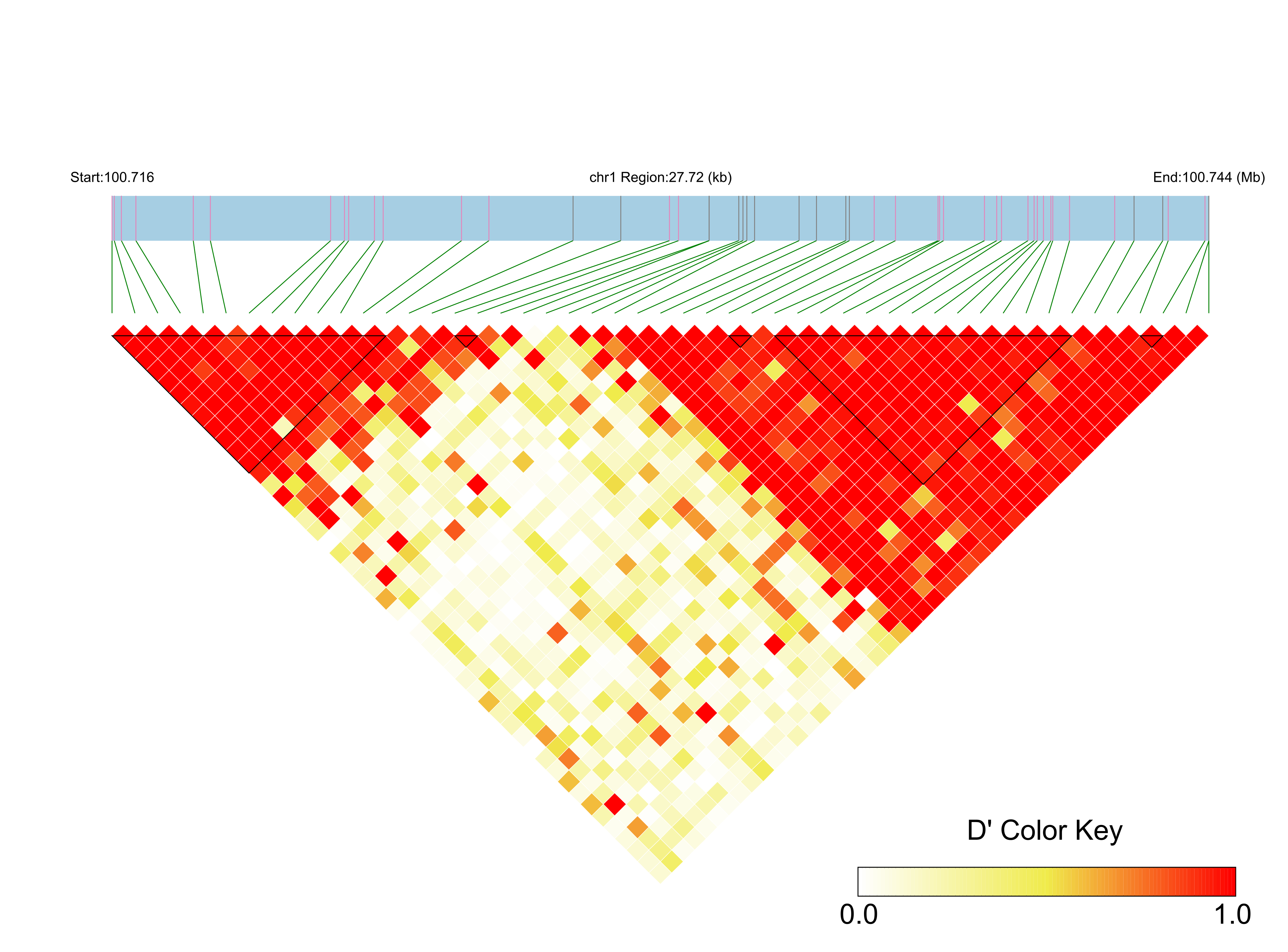 LD