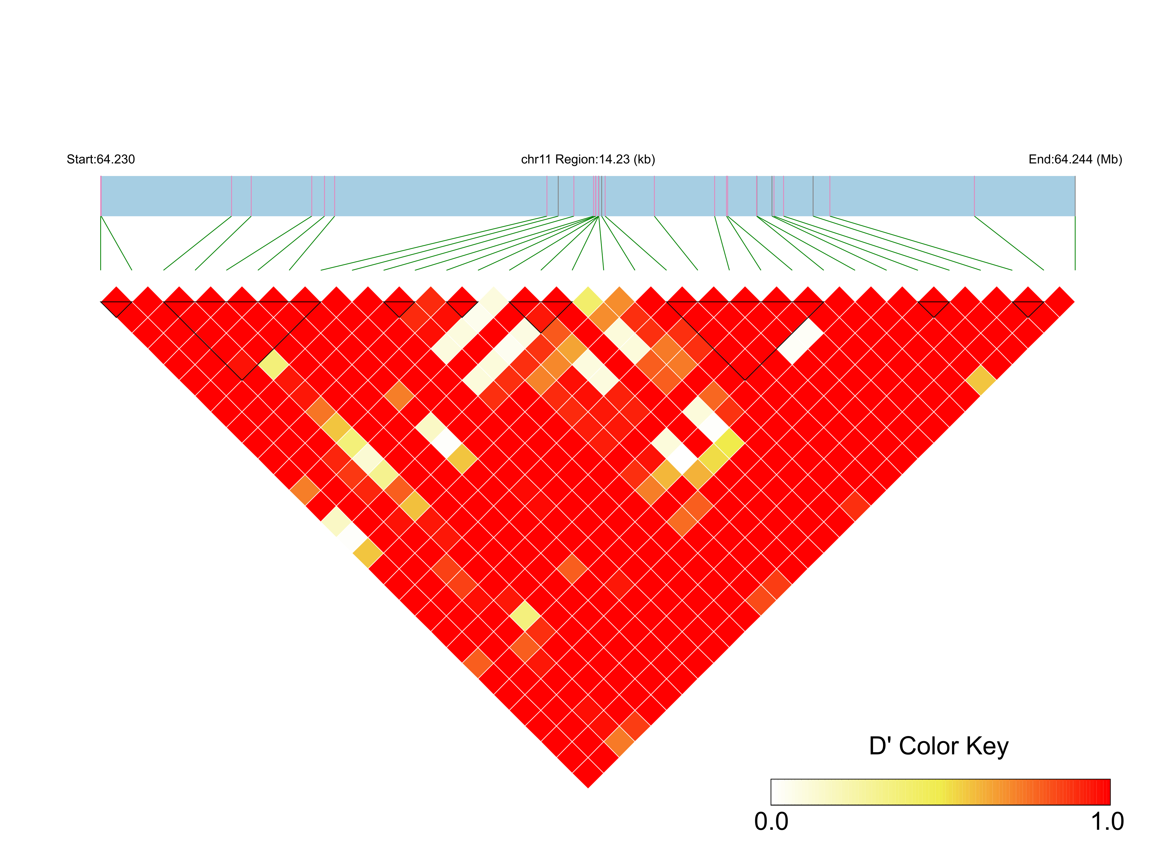 LD