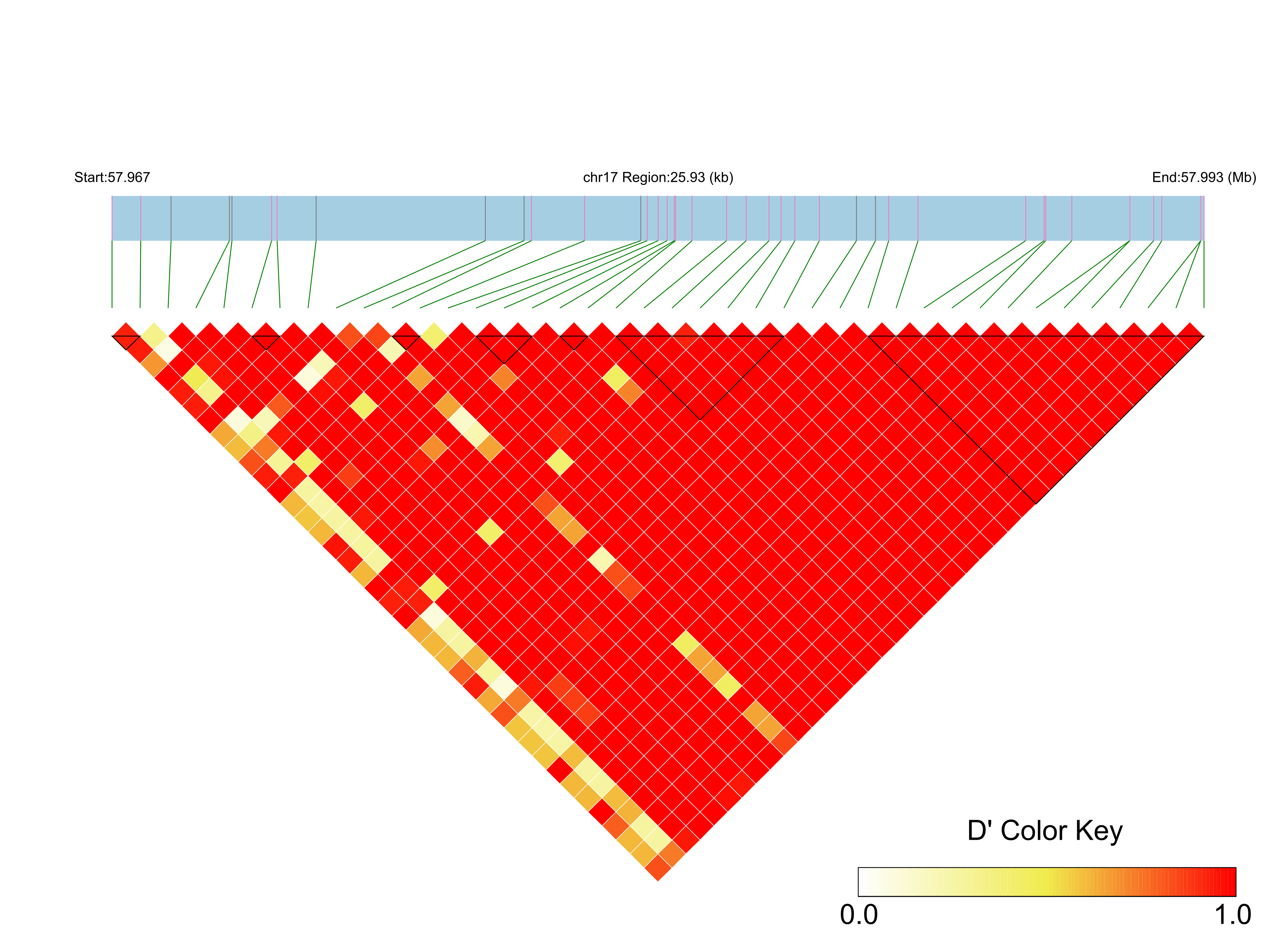 LD