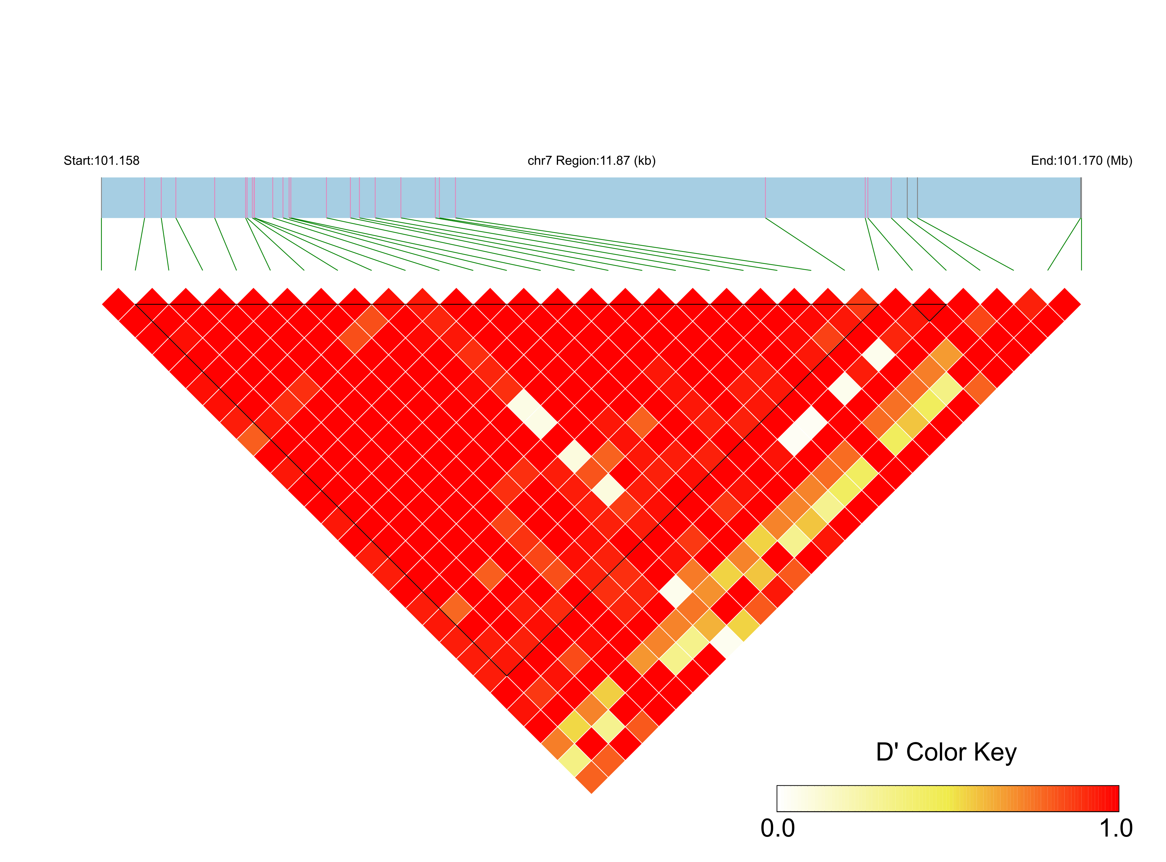 LD