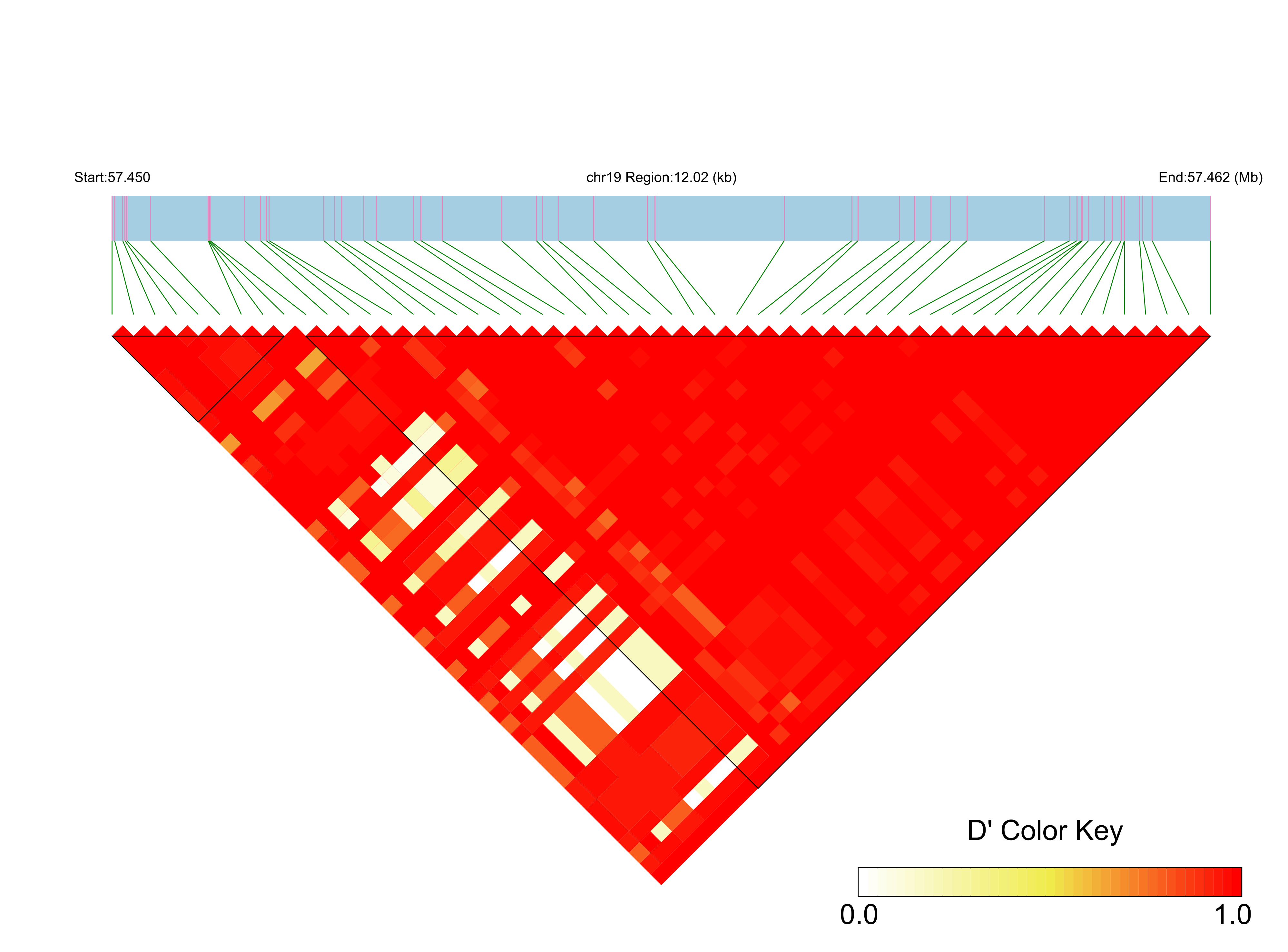 LD