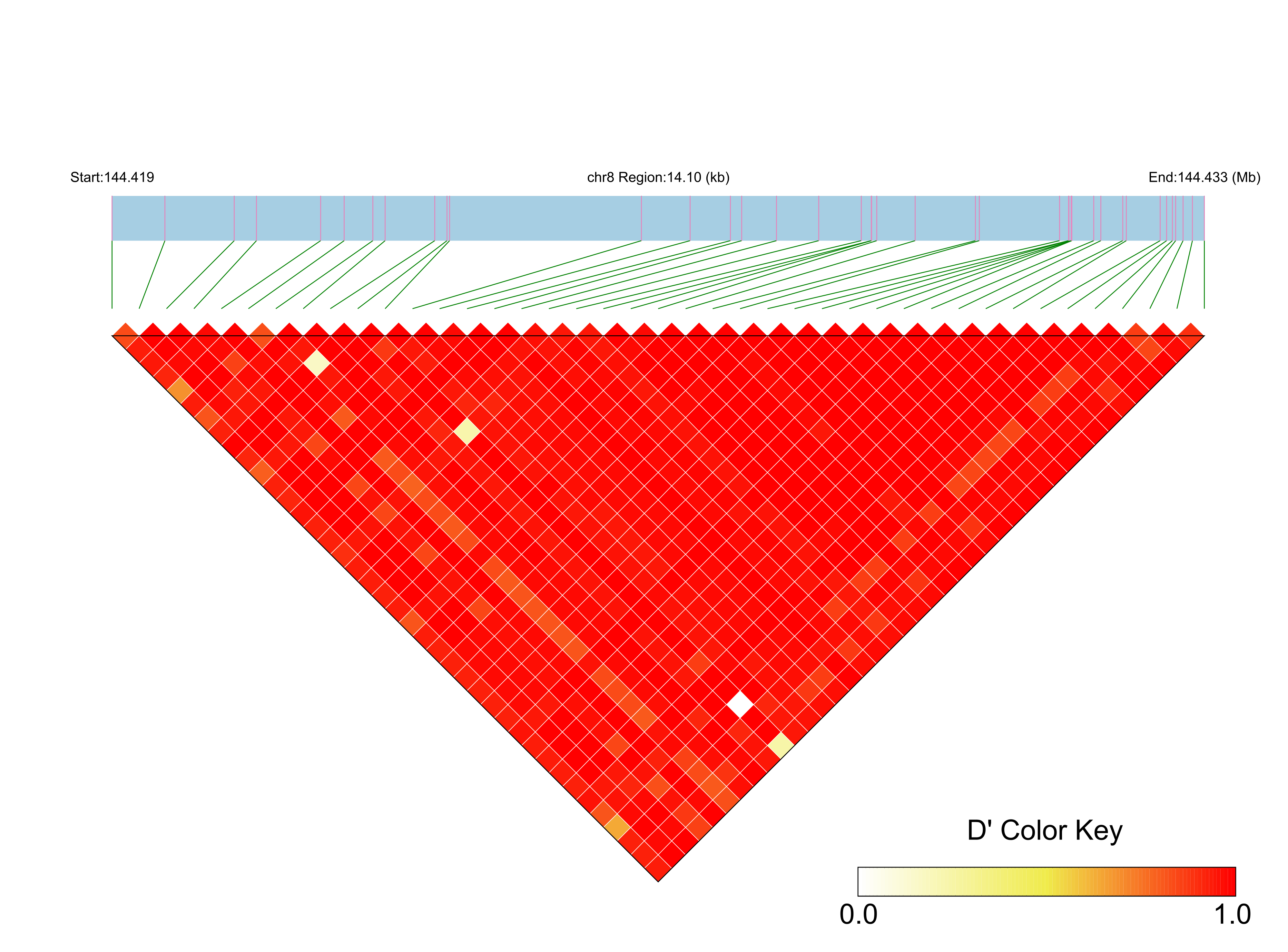 LD