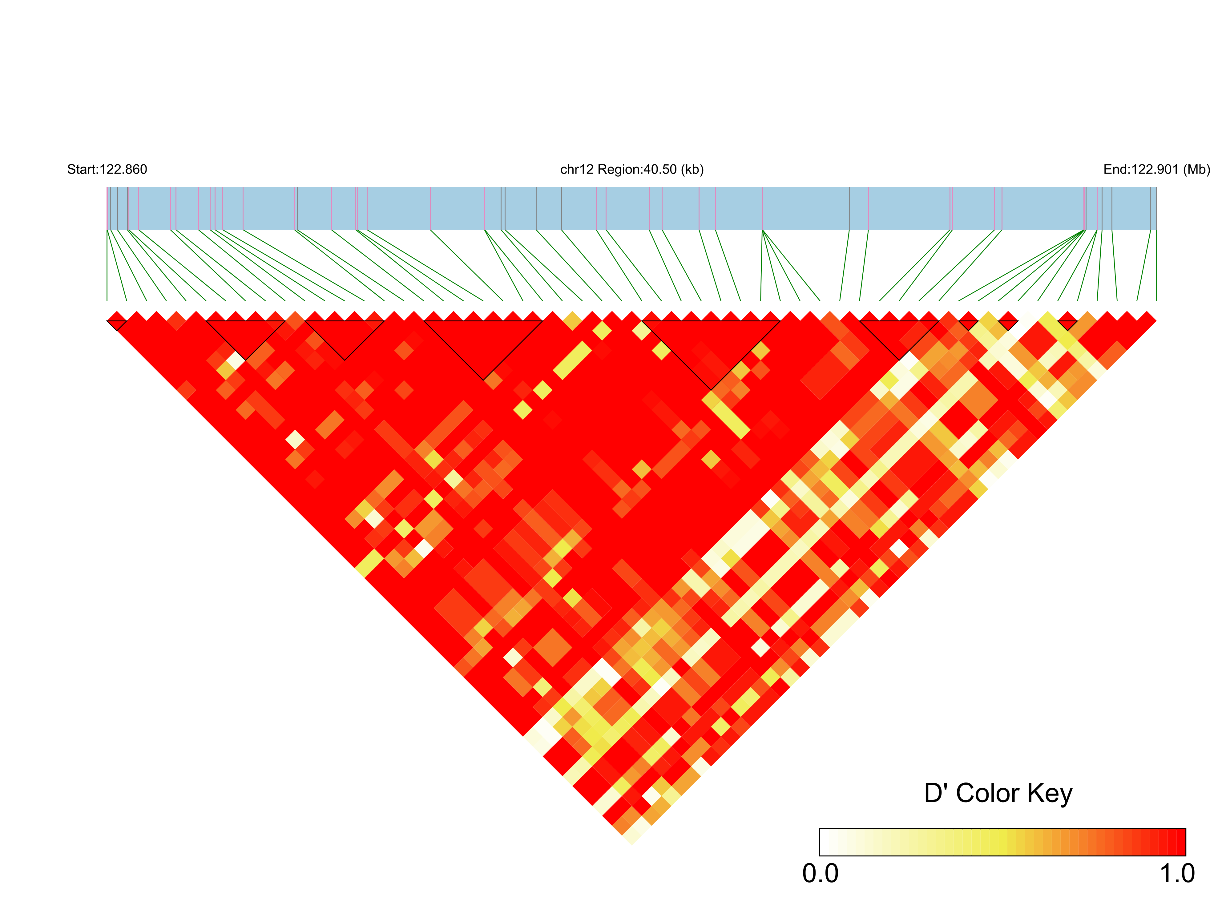 LD