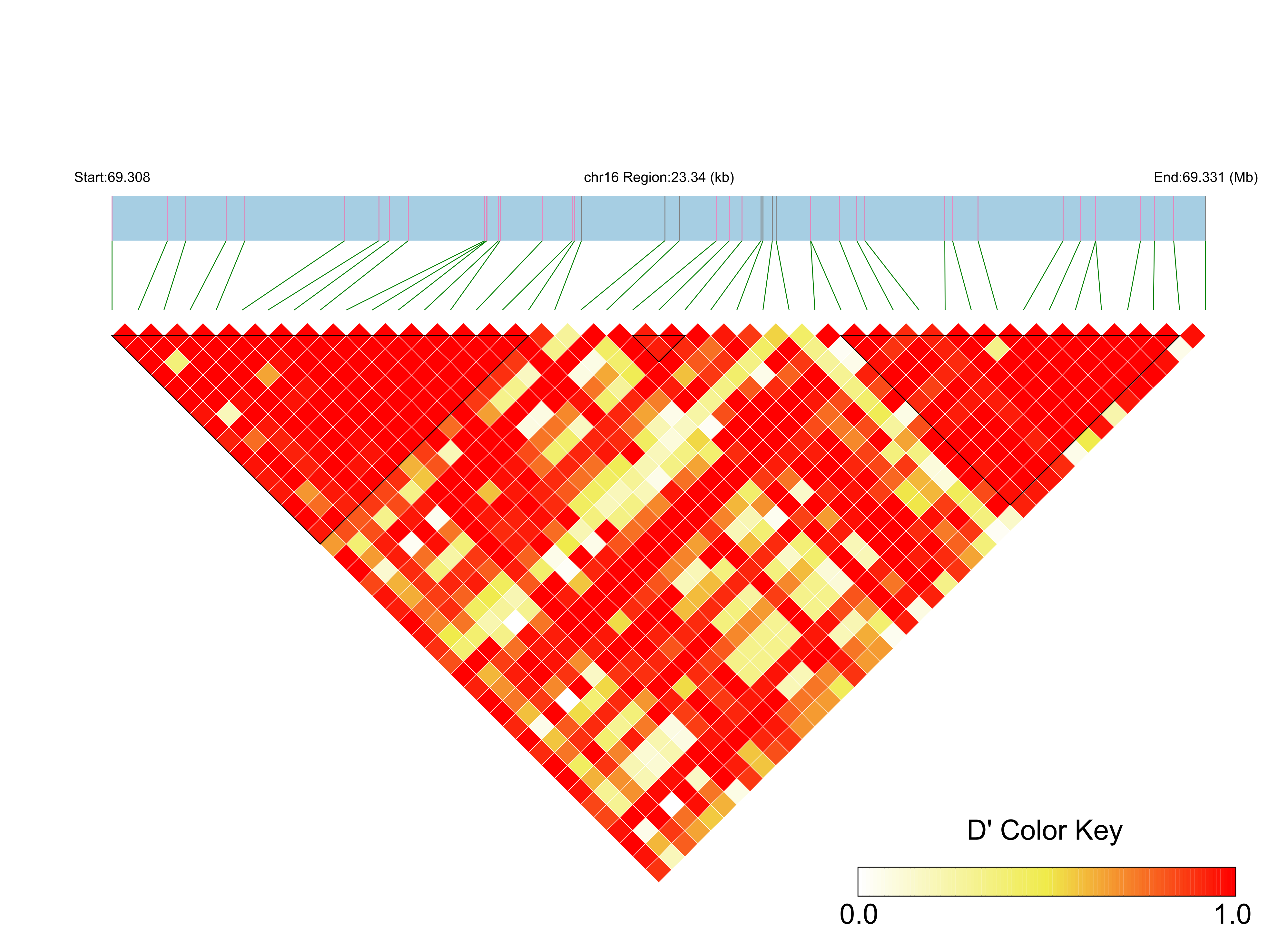 LD