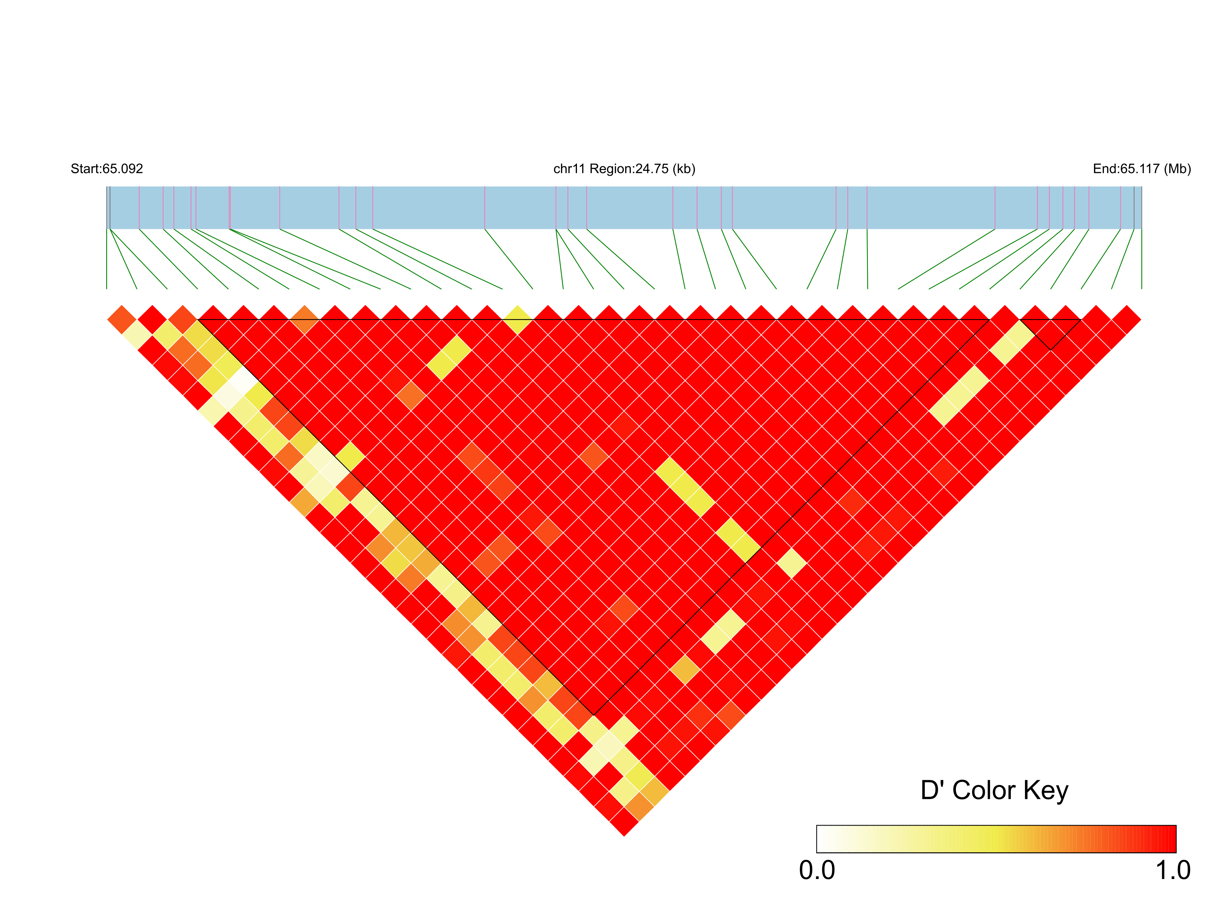 LD