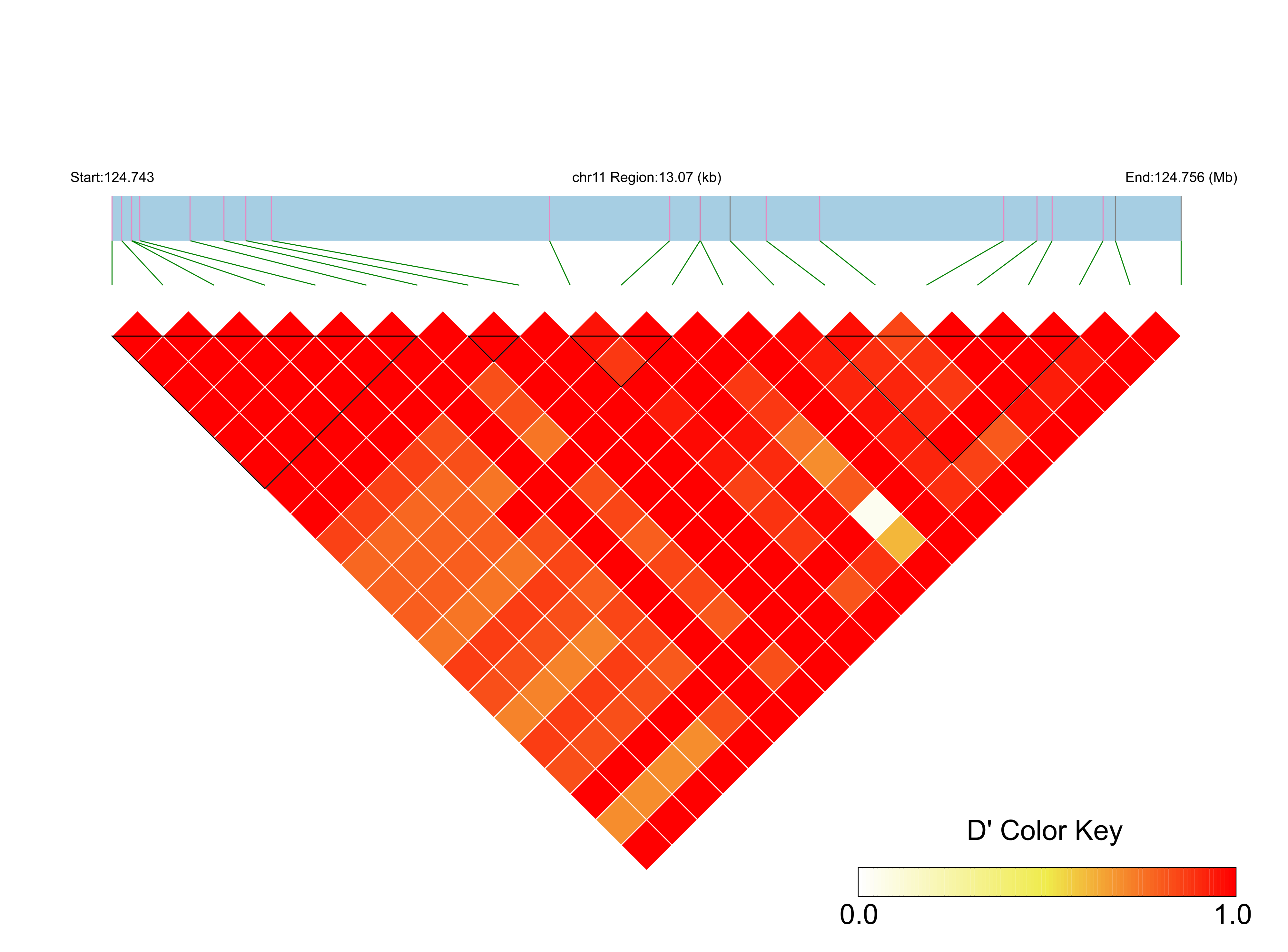LD