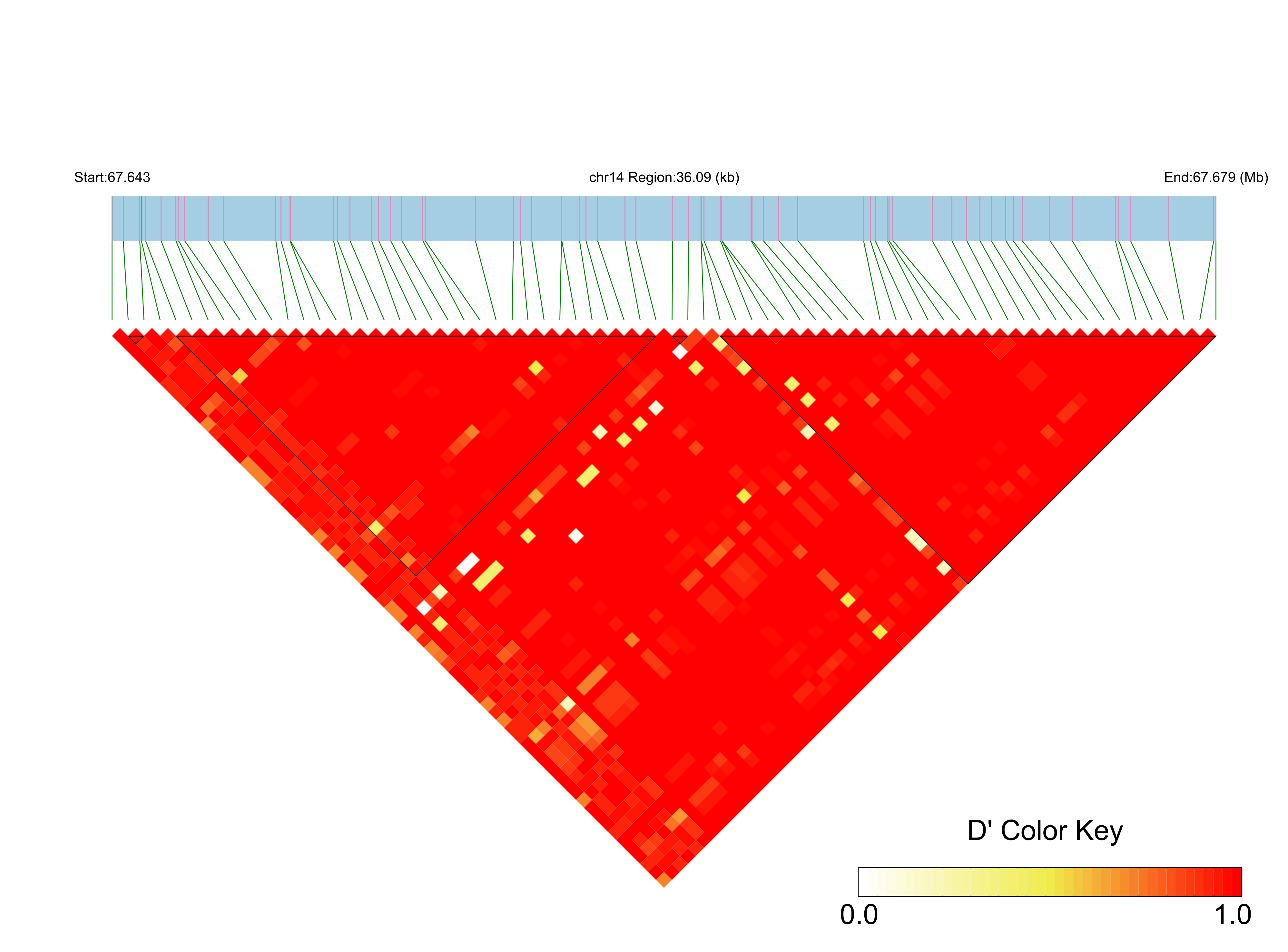 LD