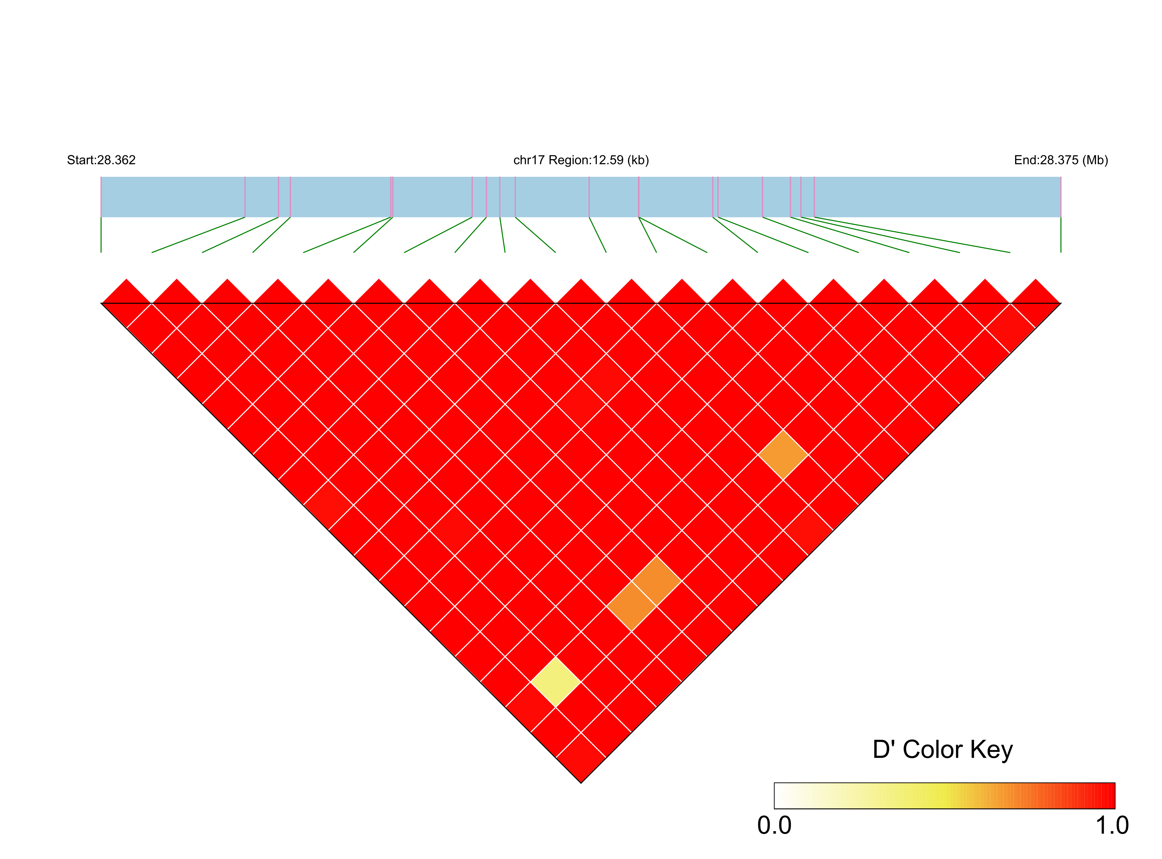 LD