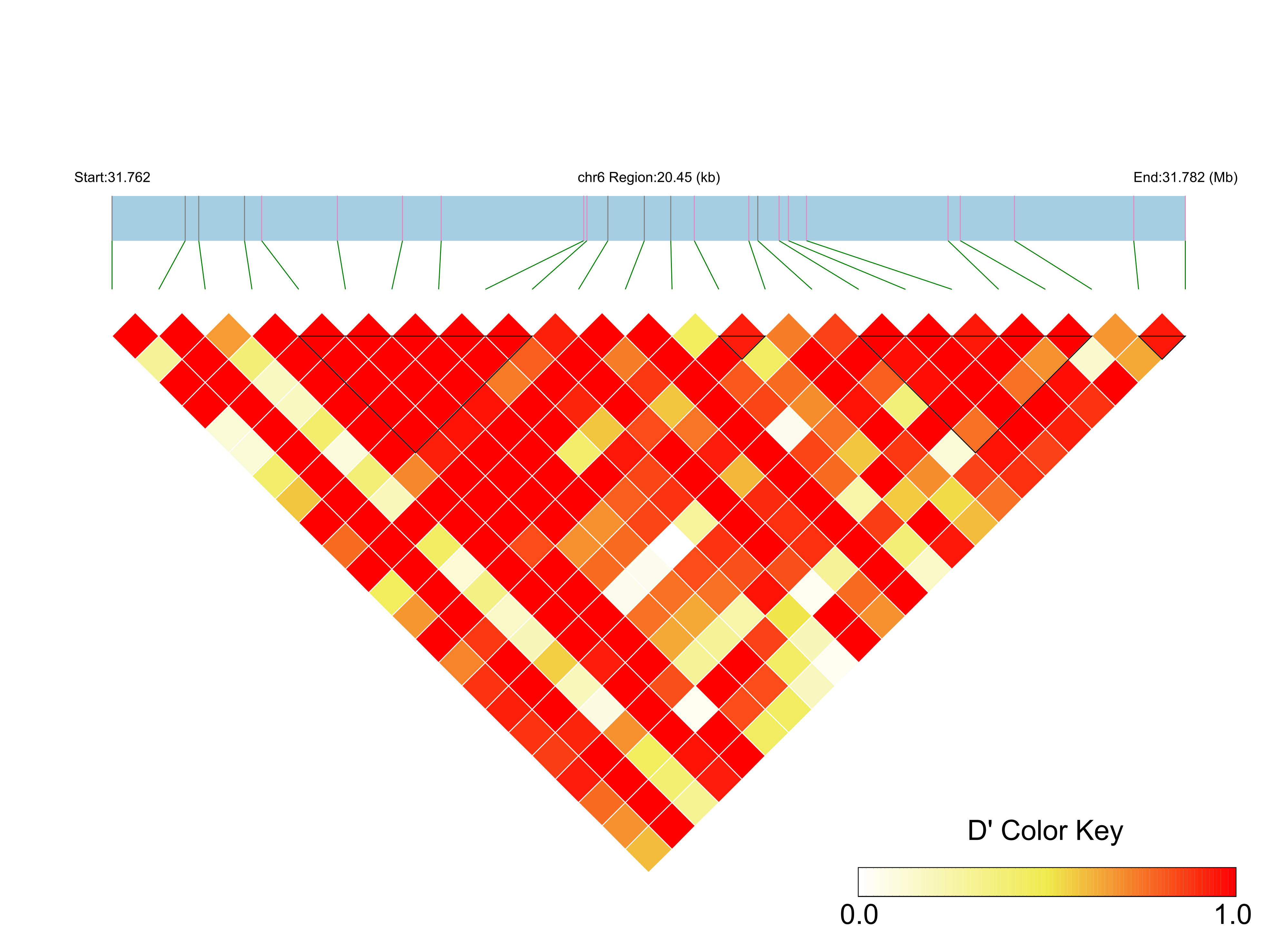 LD