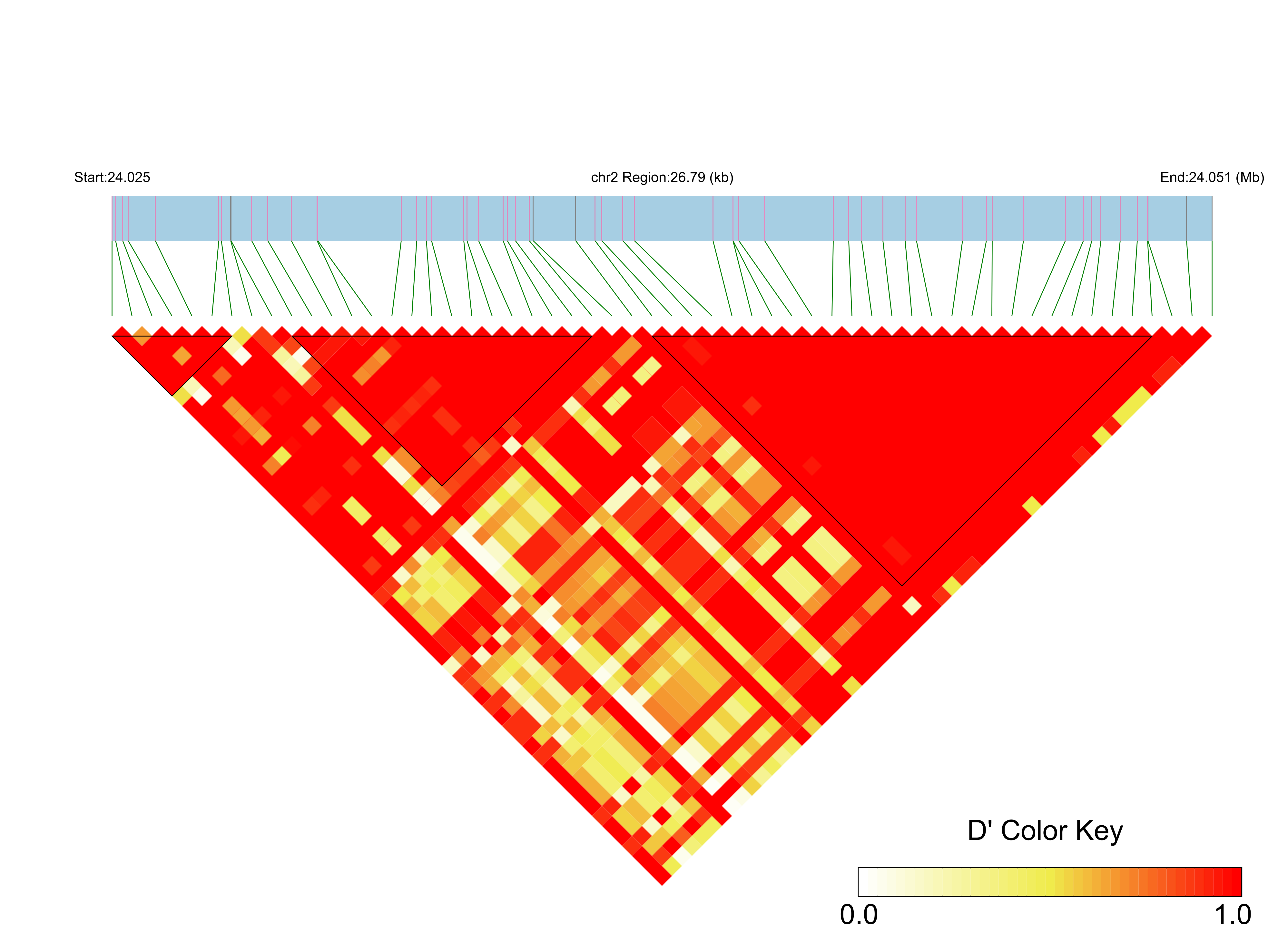 LD