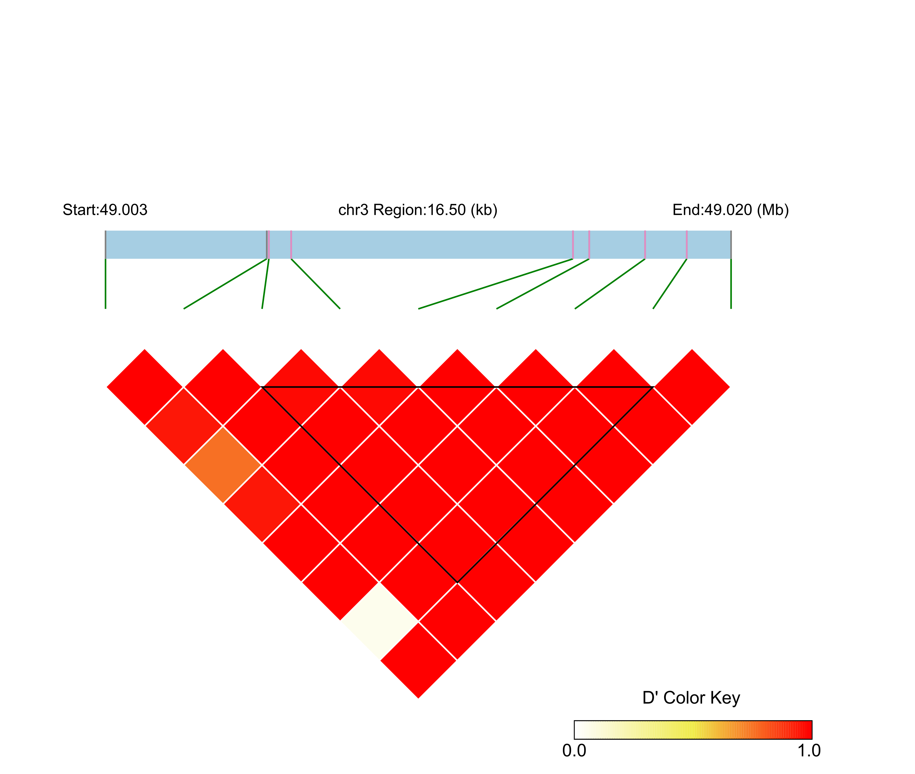 LD