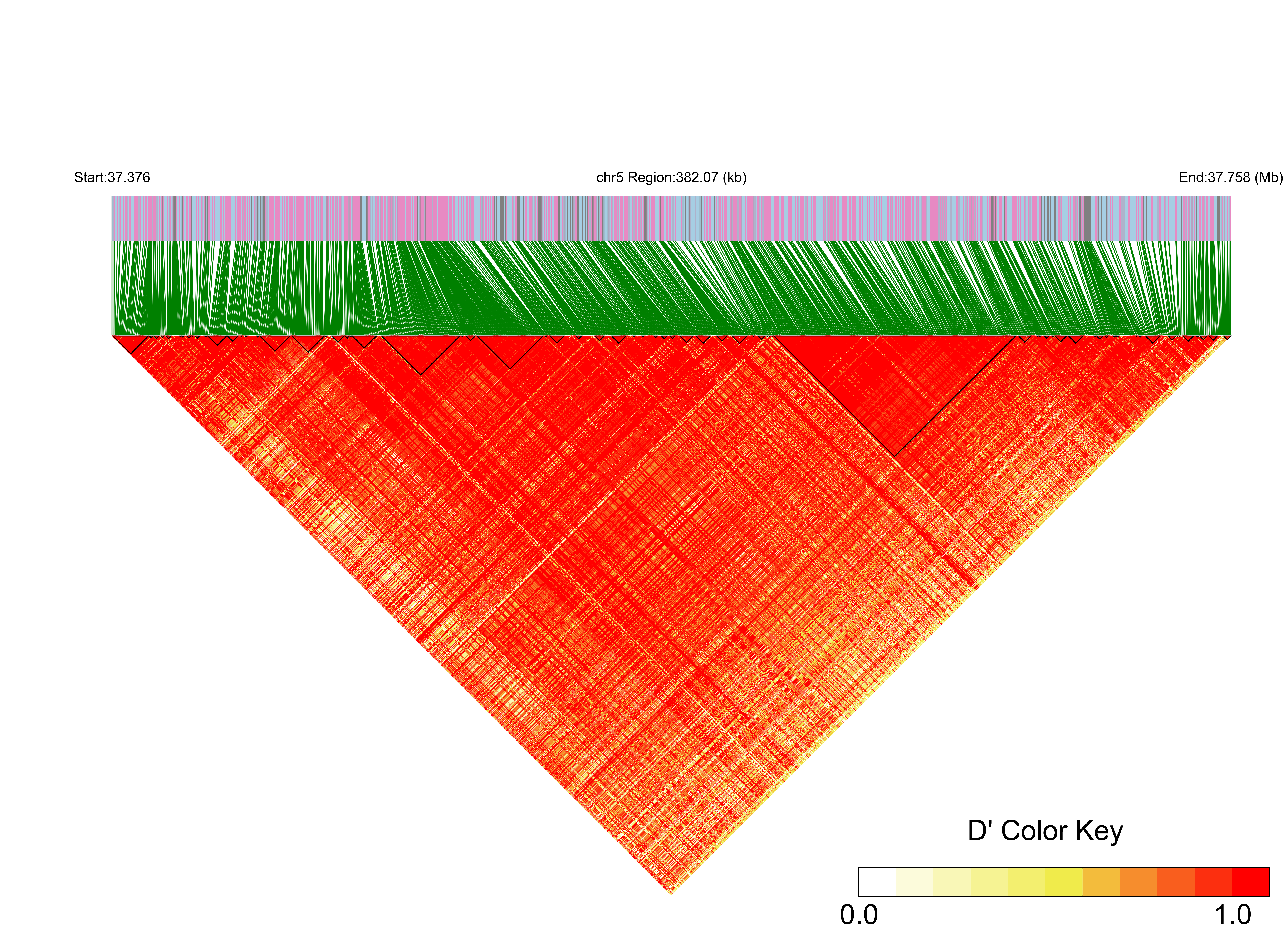 LD