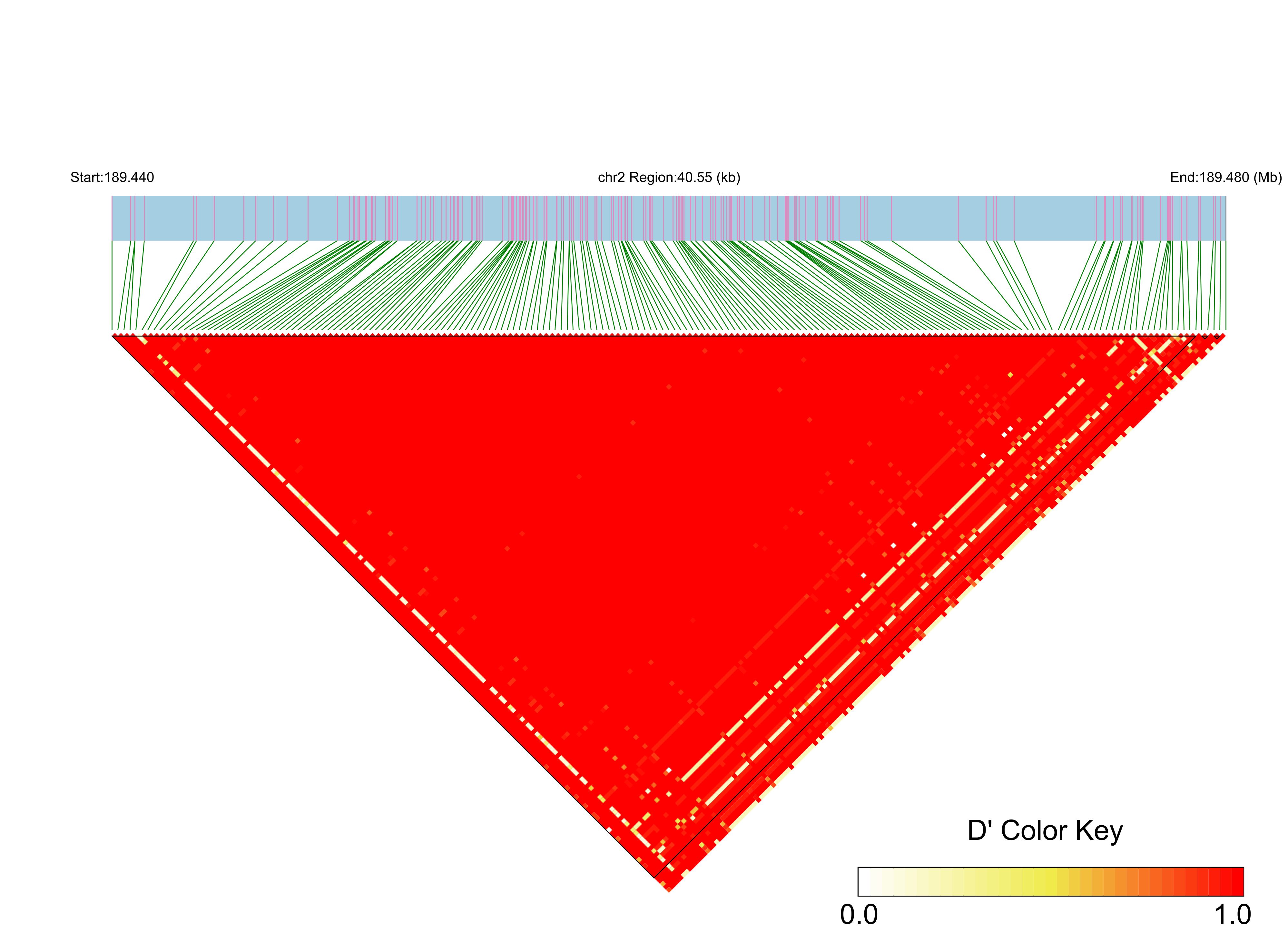 LD