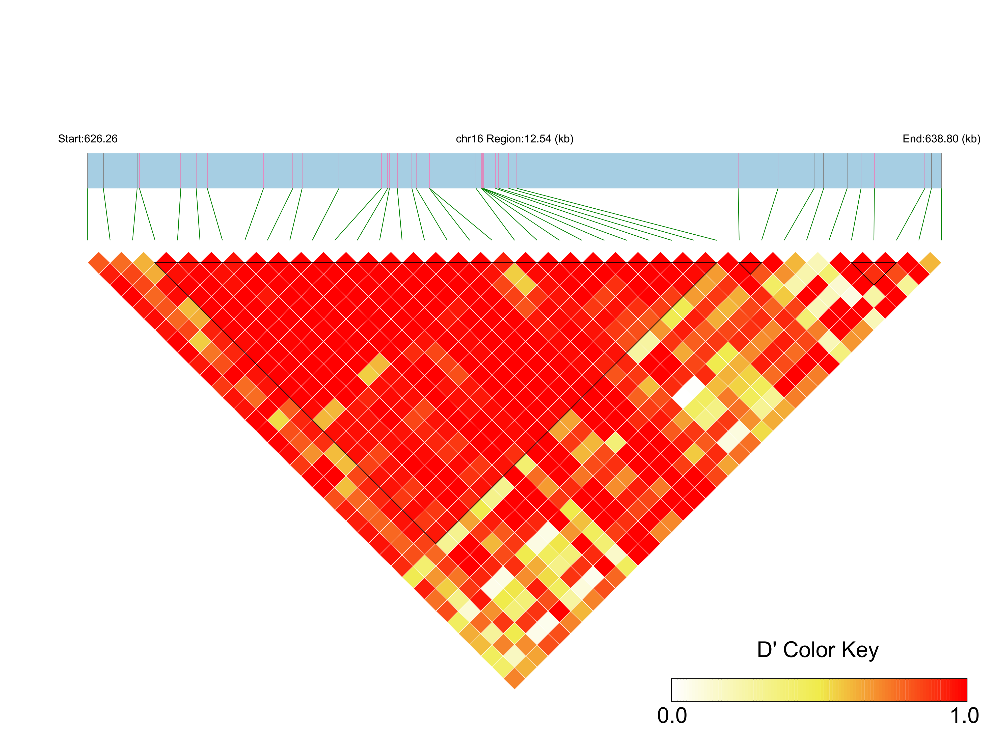 LD