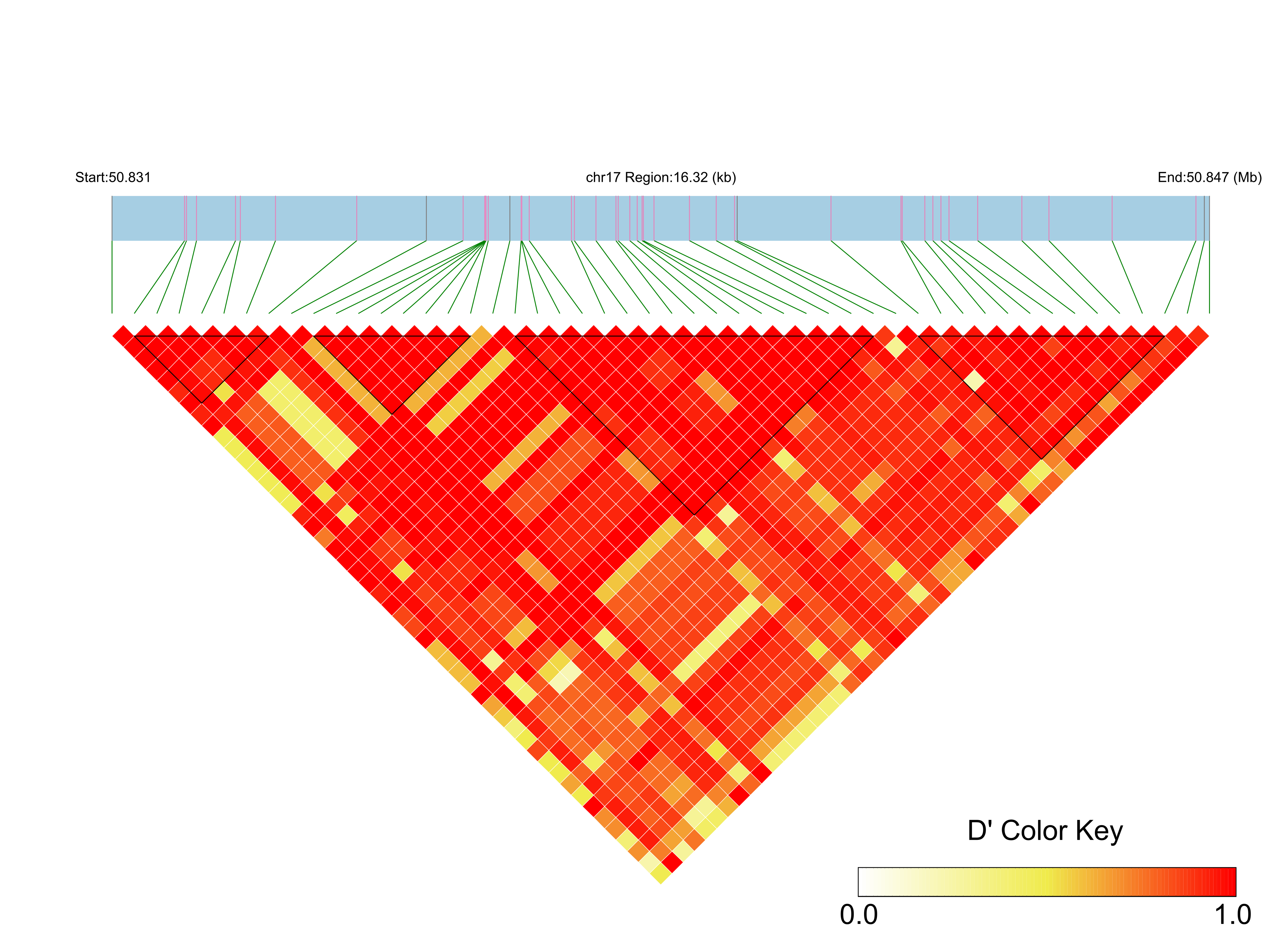LD