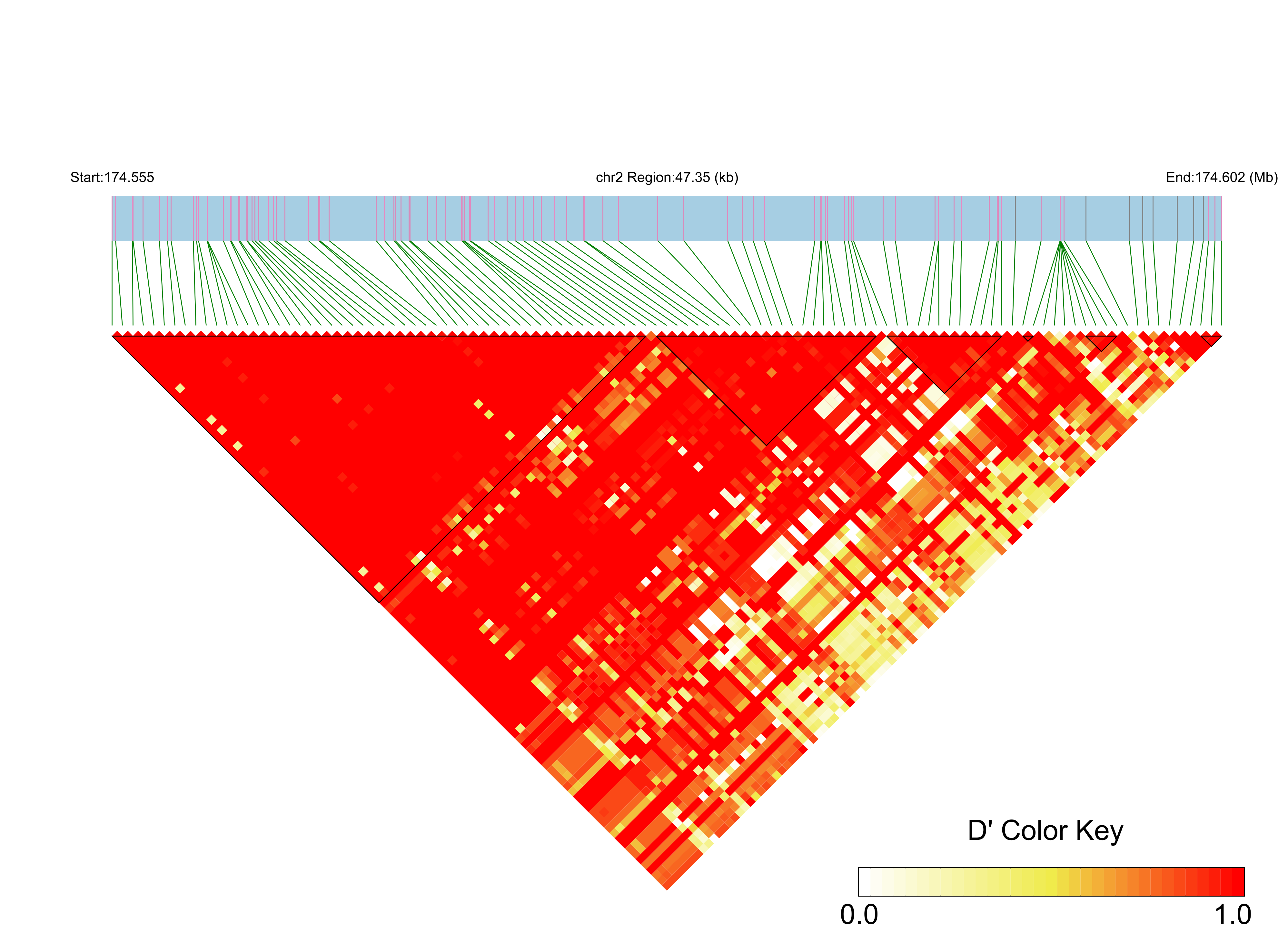 LD