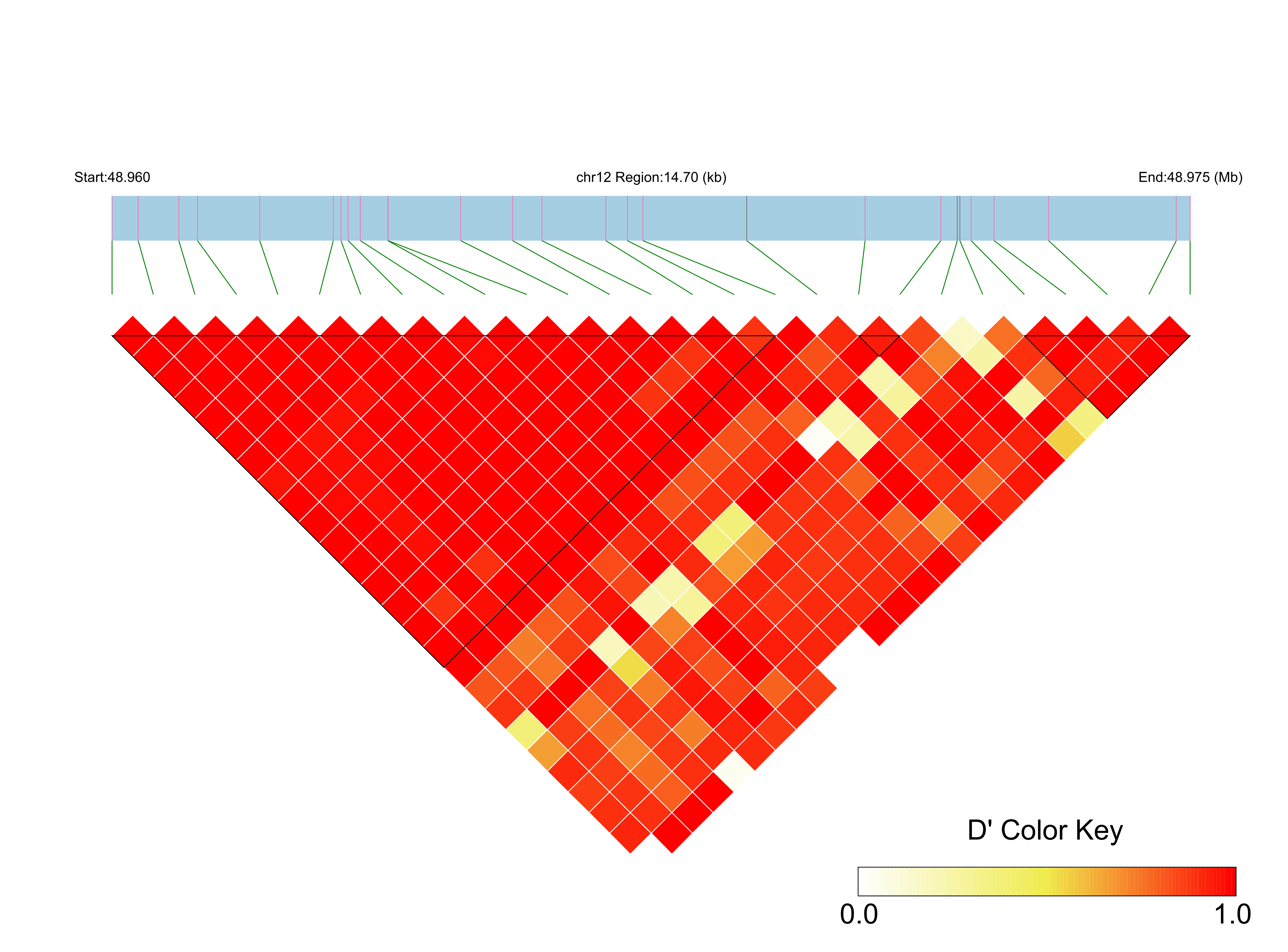 LD