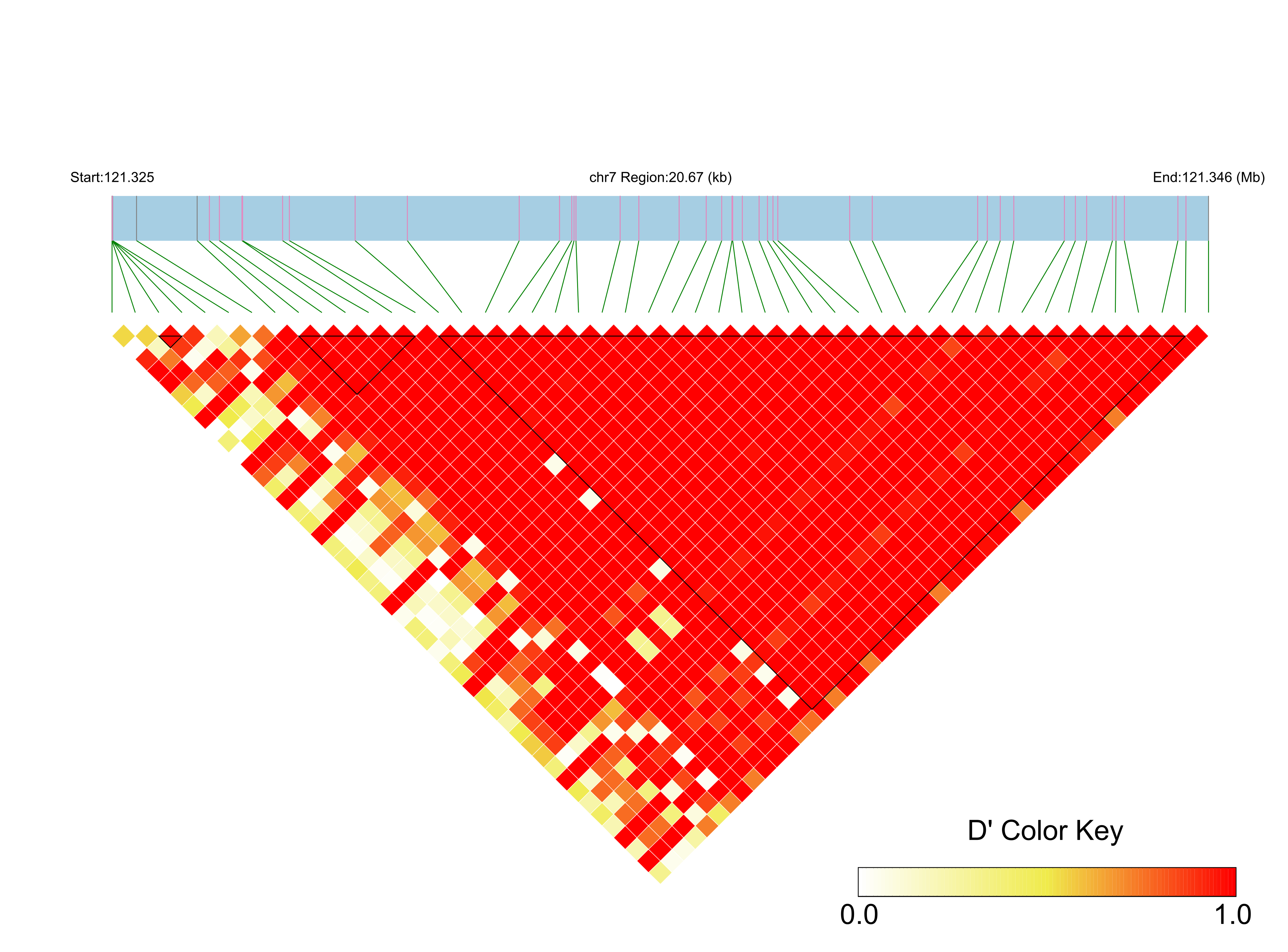 LD
