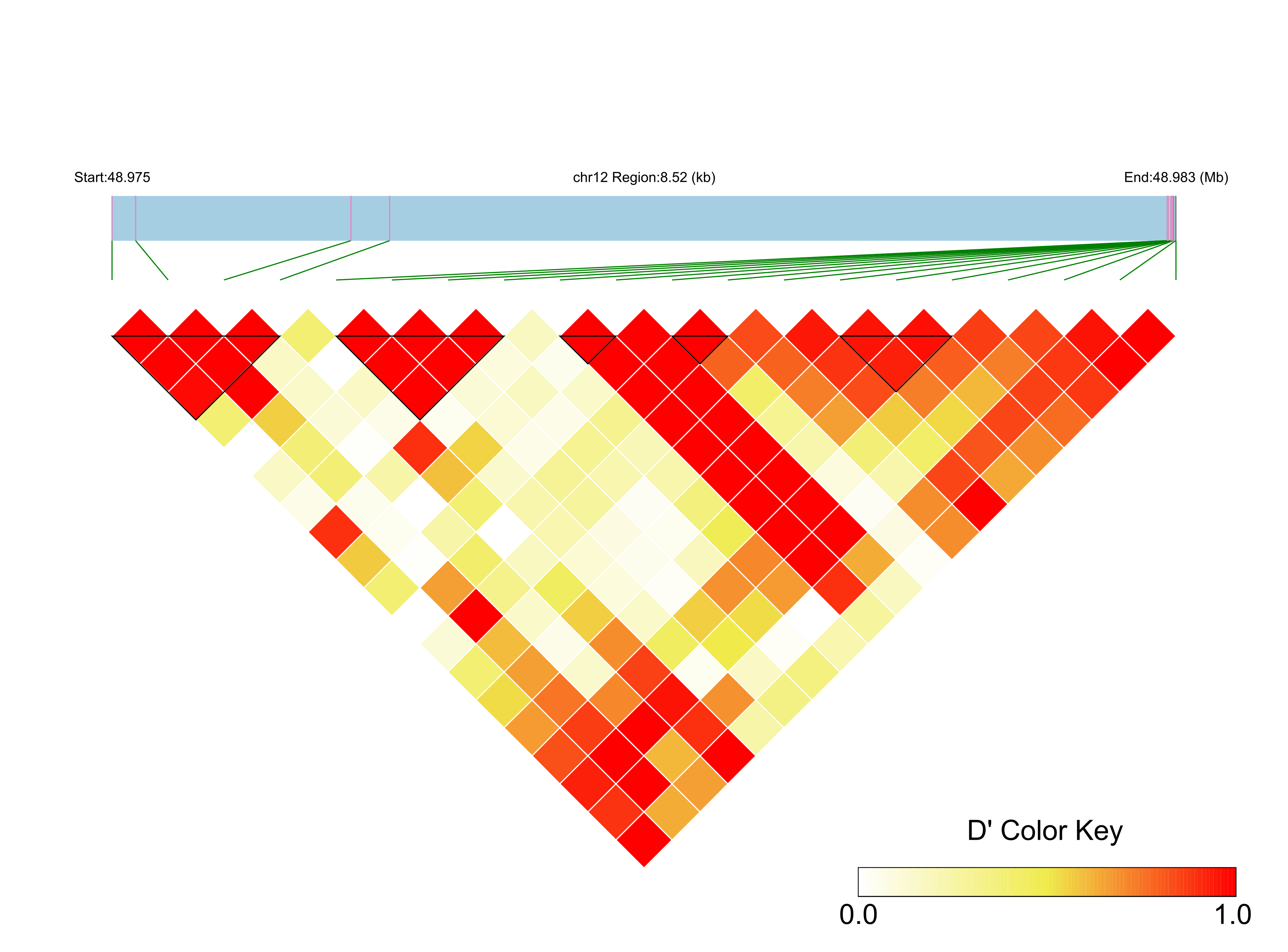 LD