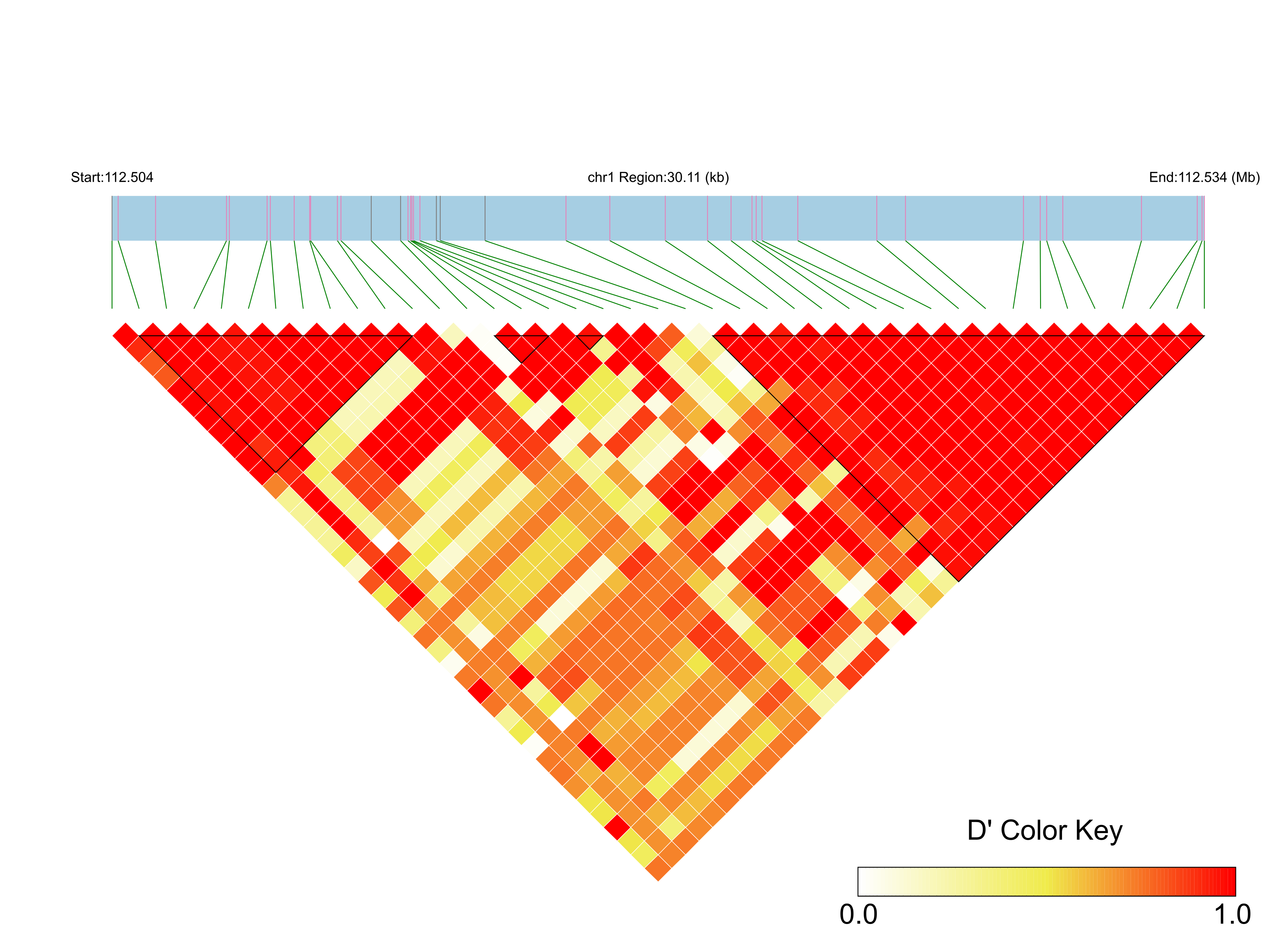 LD