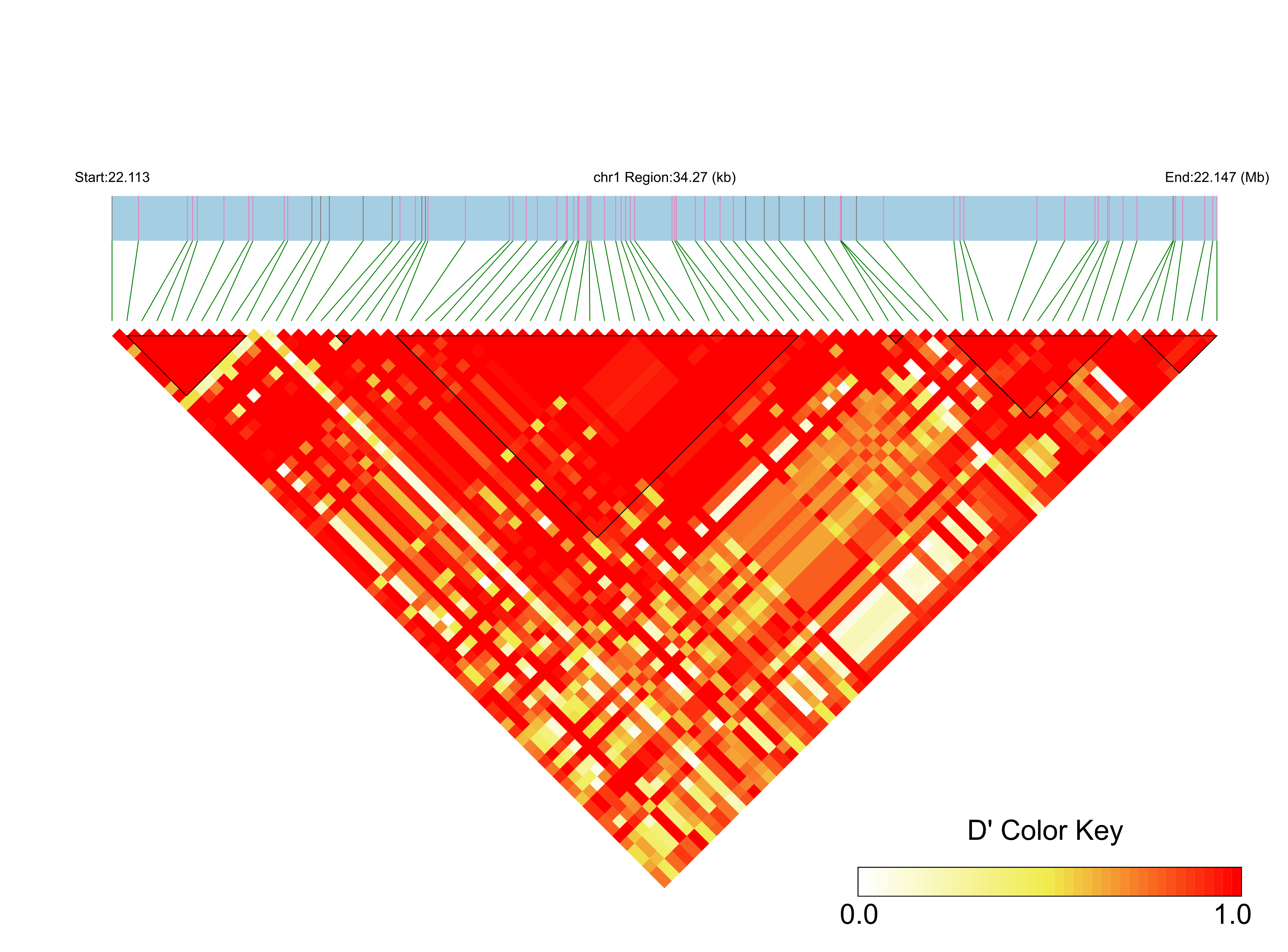 LD