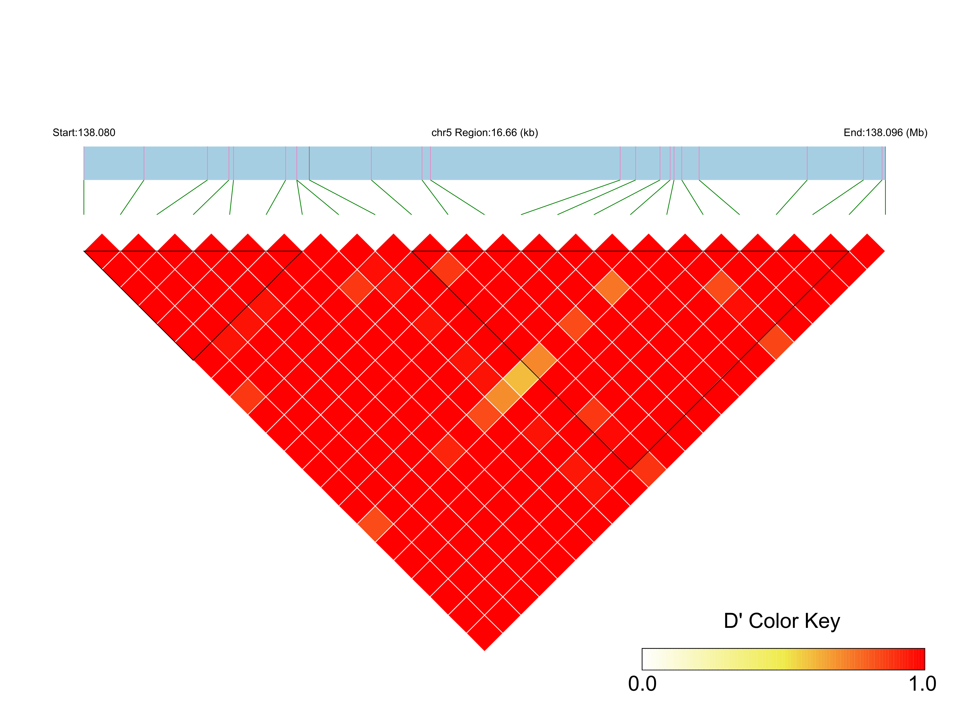 LD