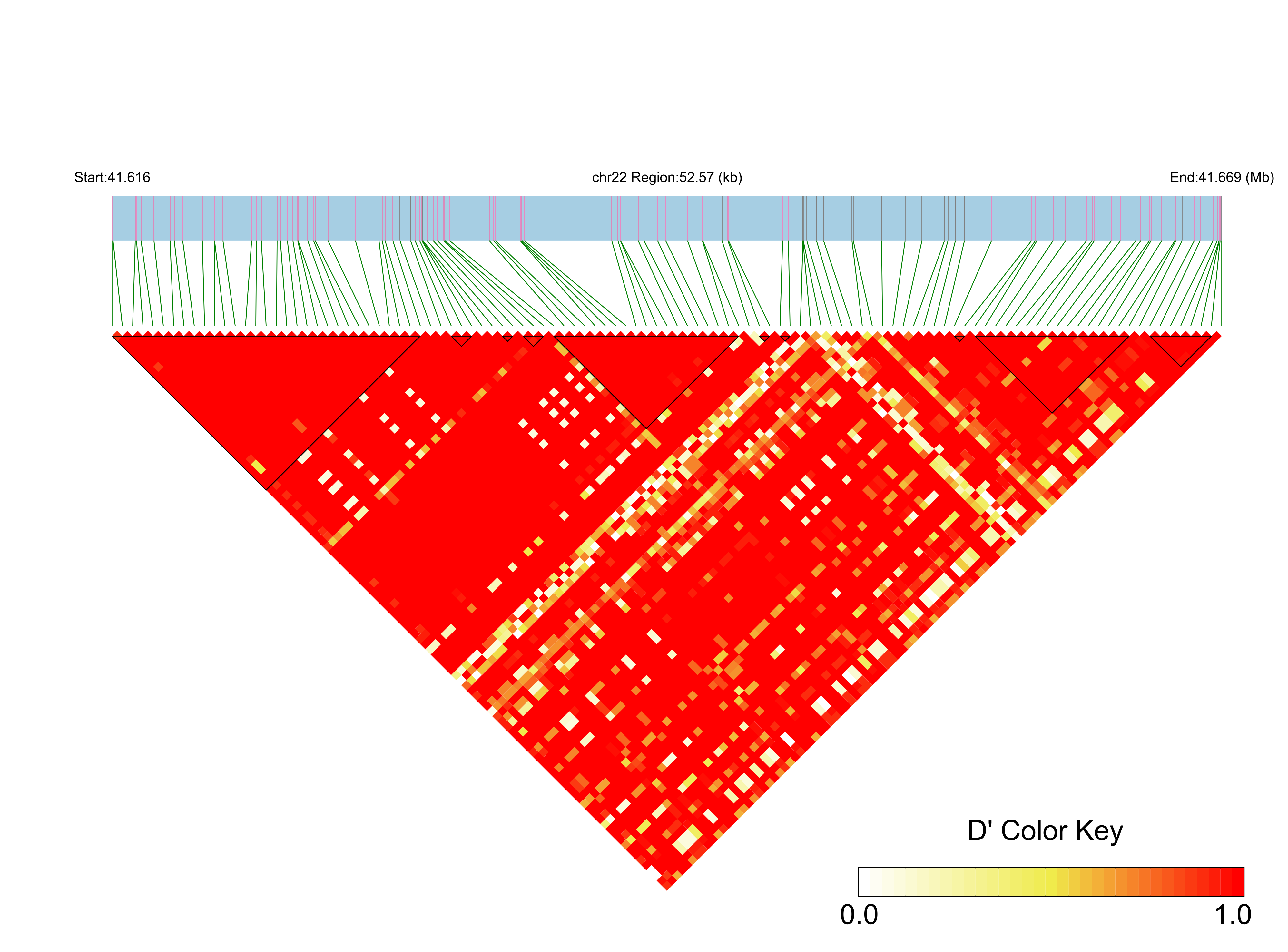 LD
