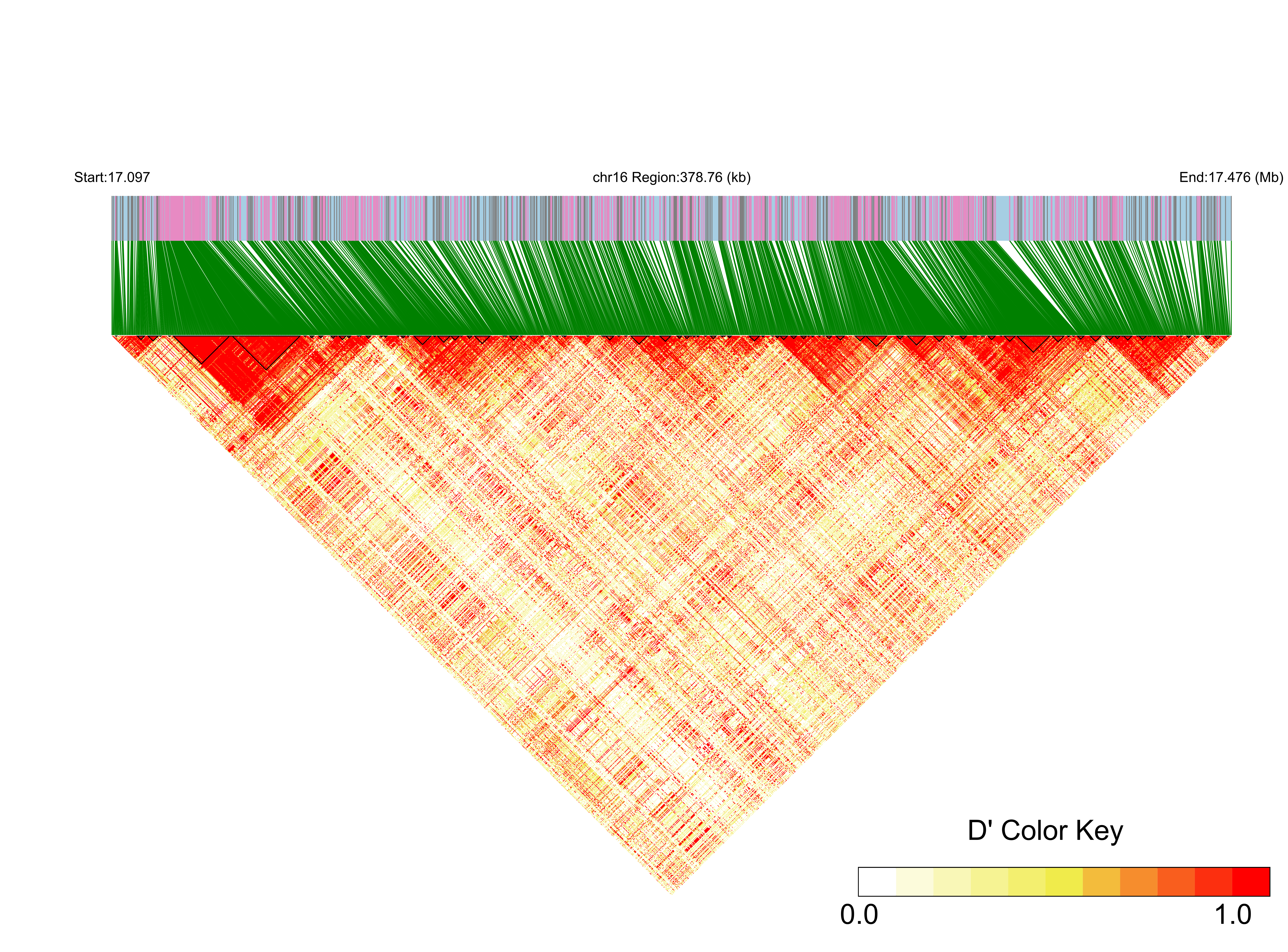 LD