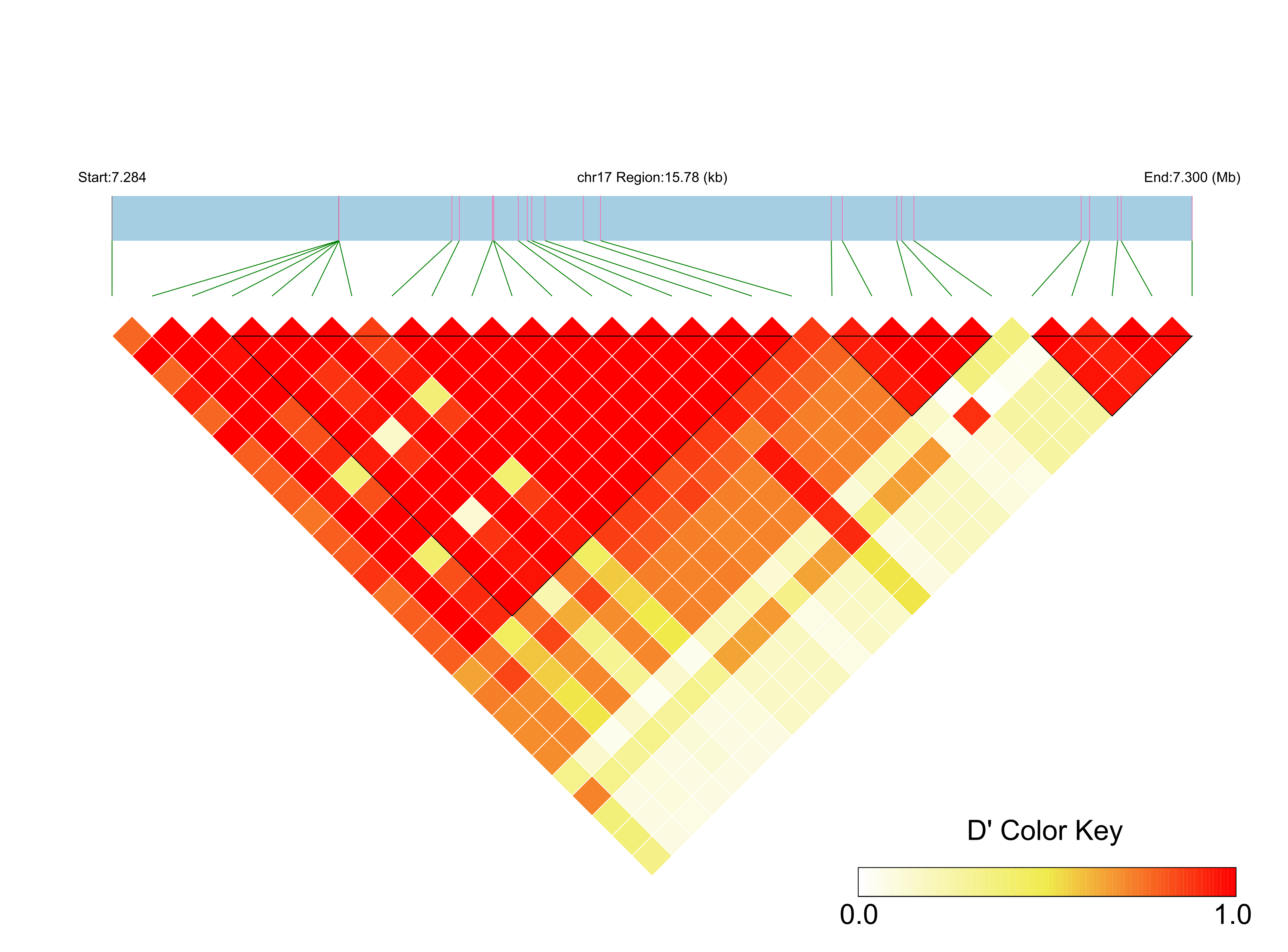 LD
