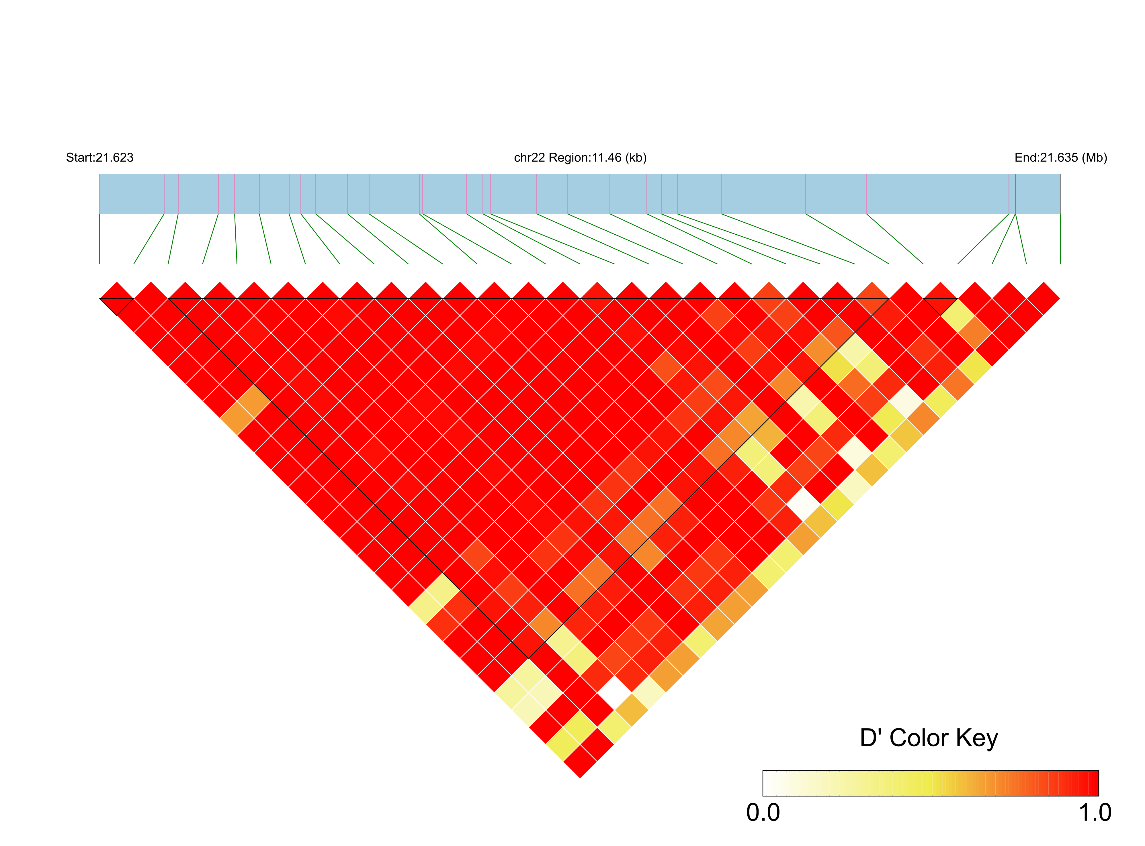 LD