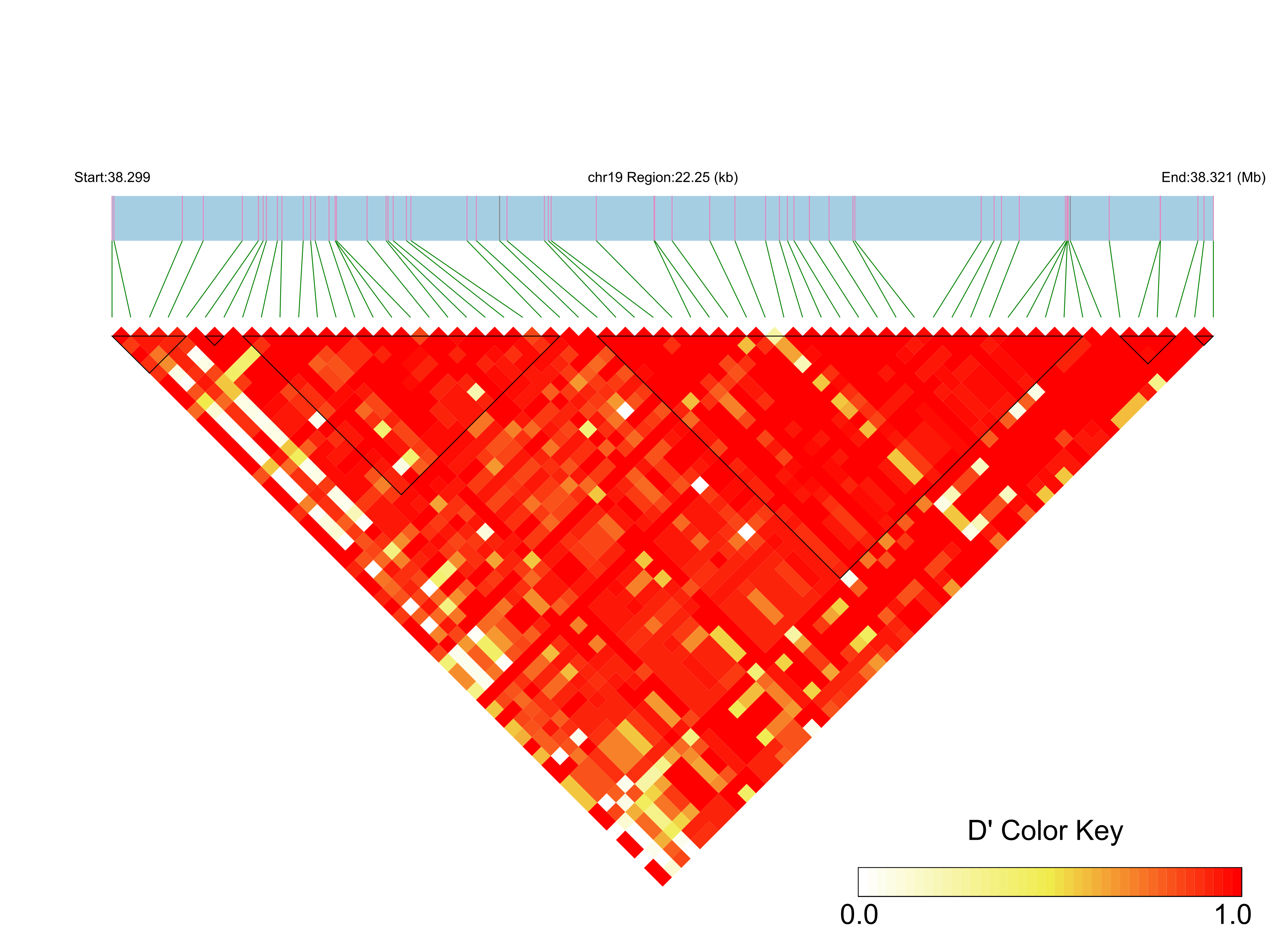 LD