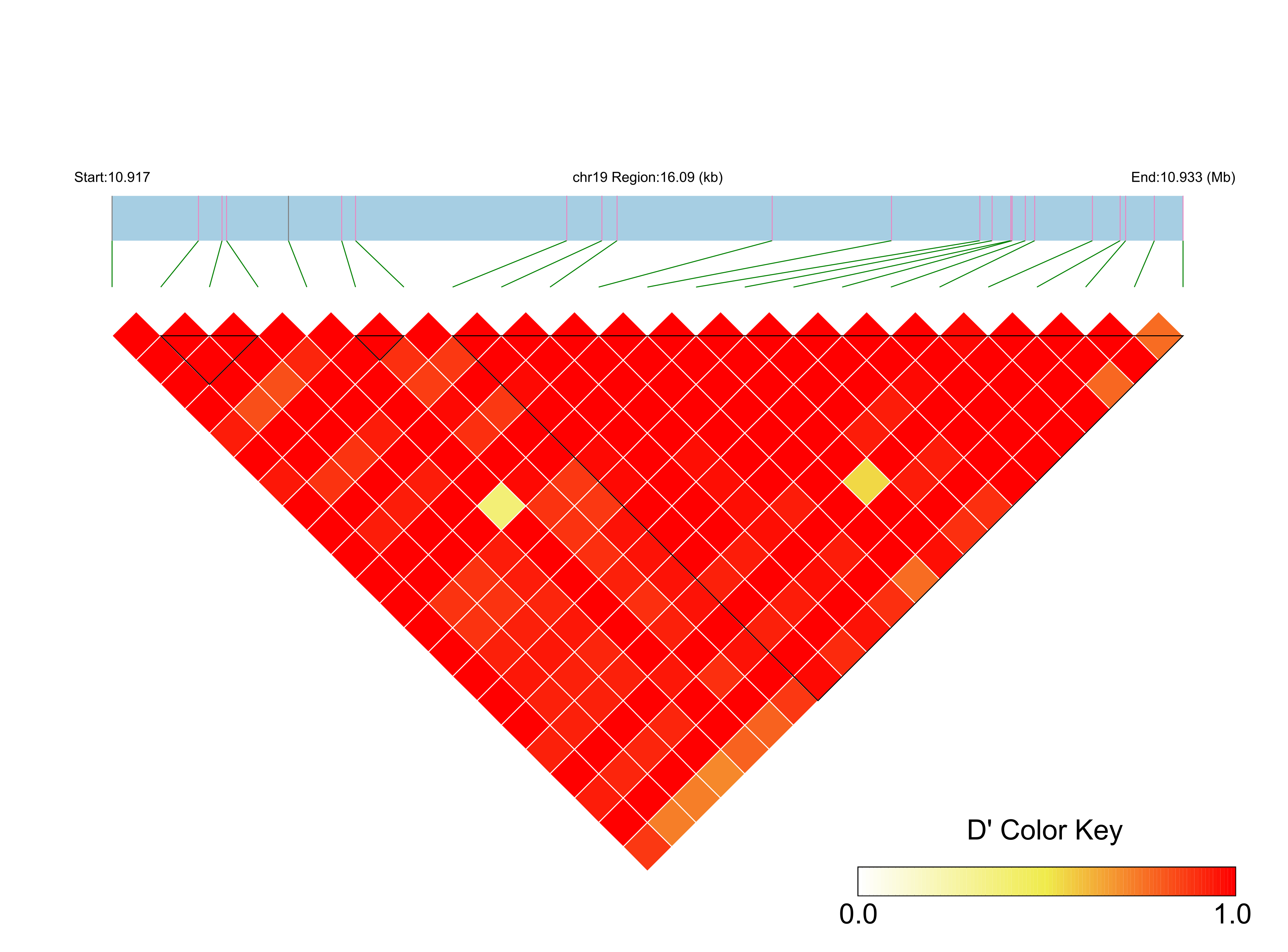 LD