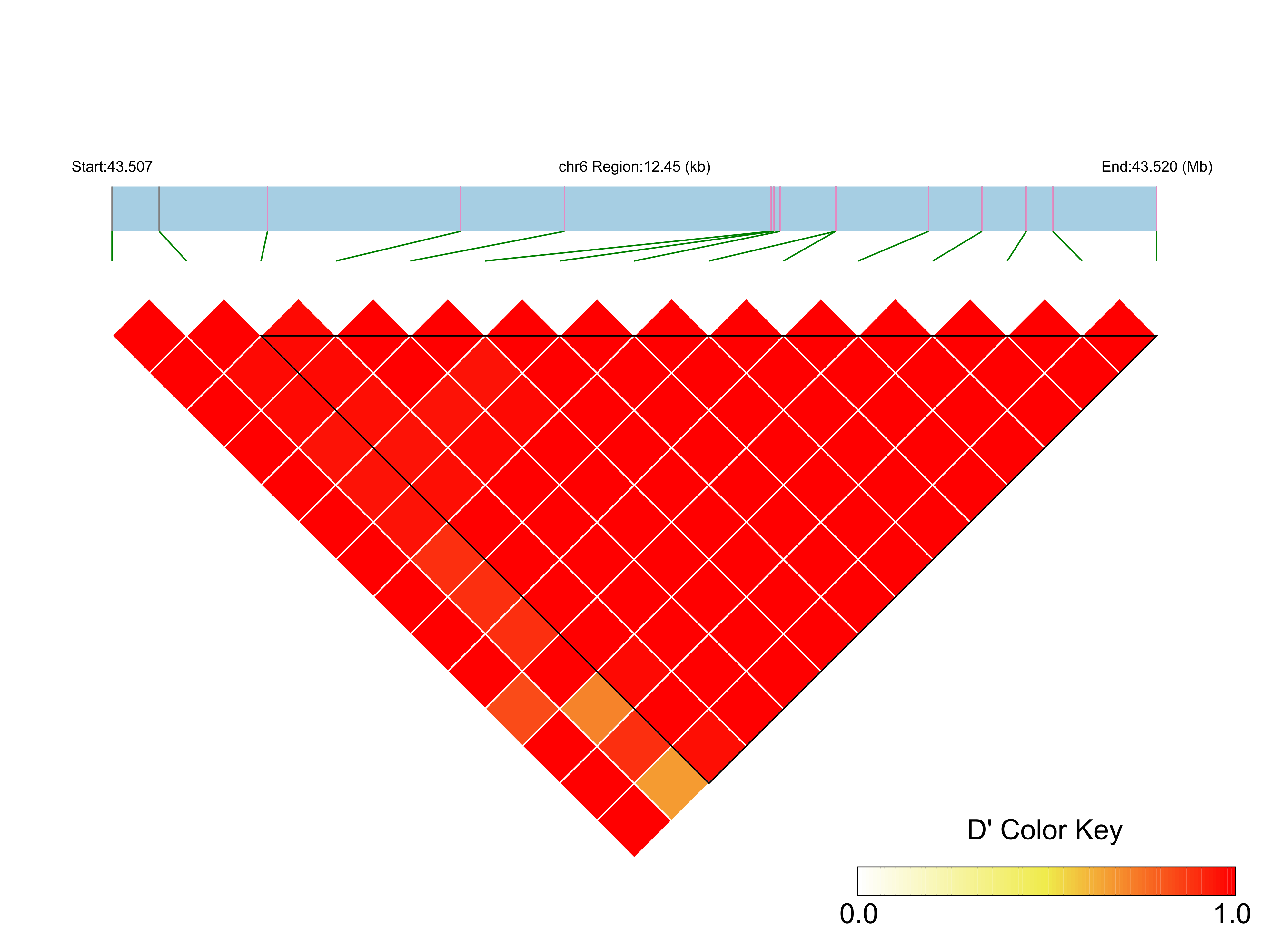 LD