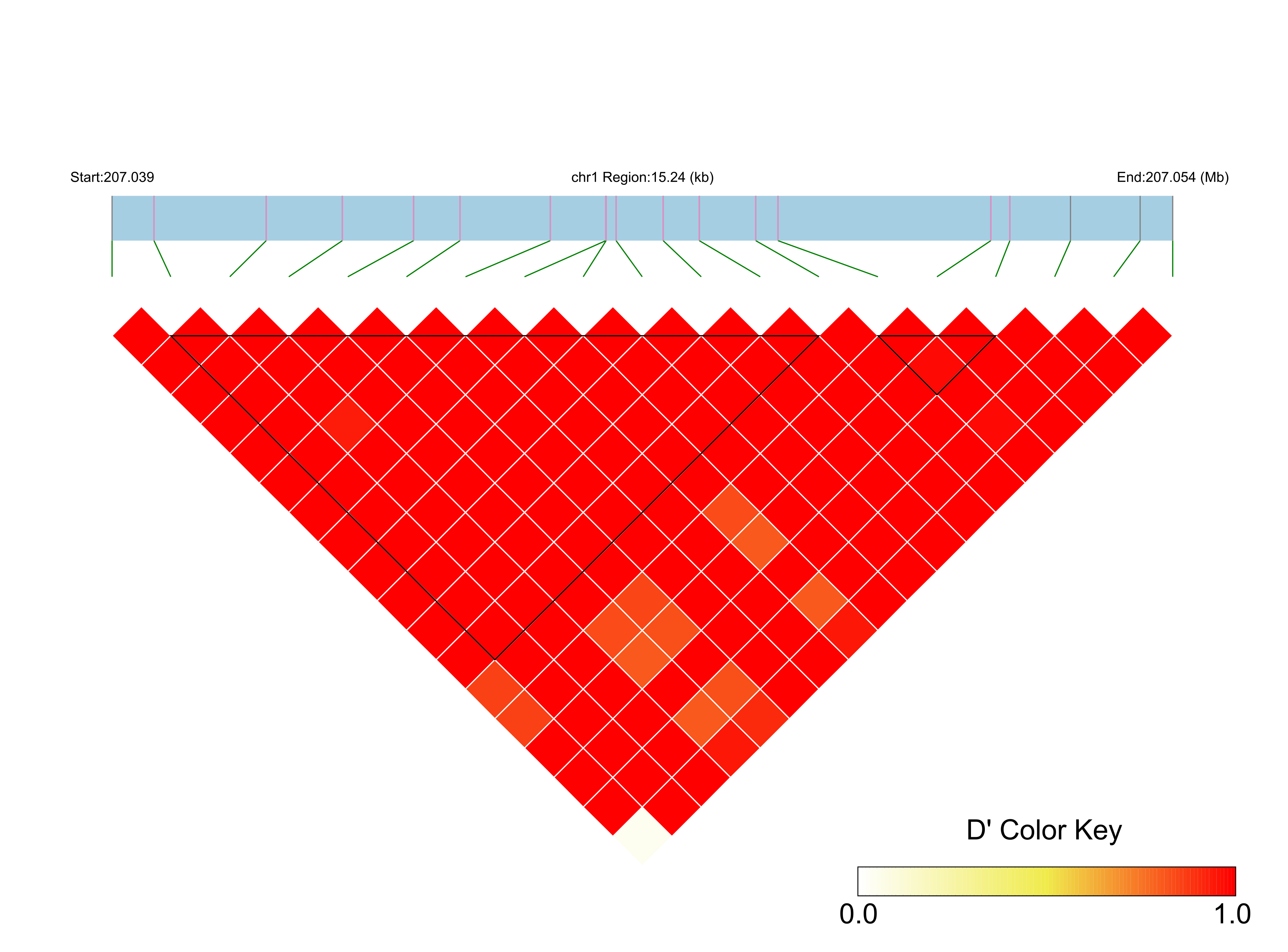 LD