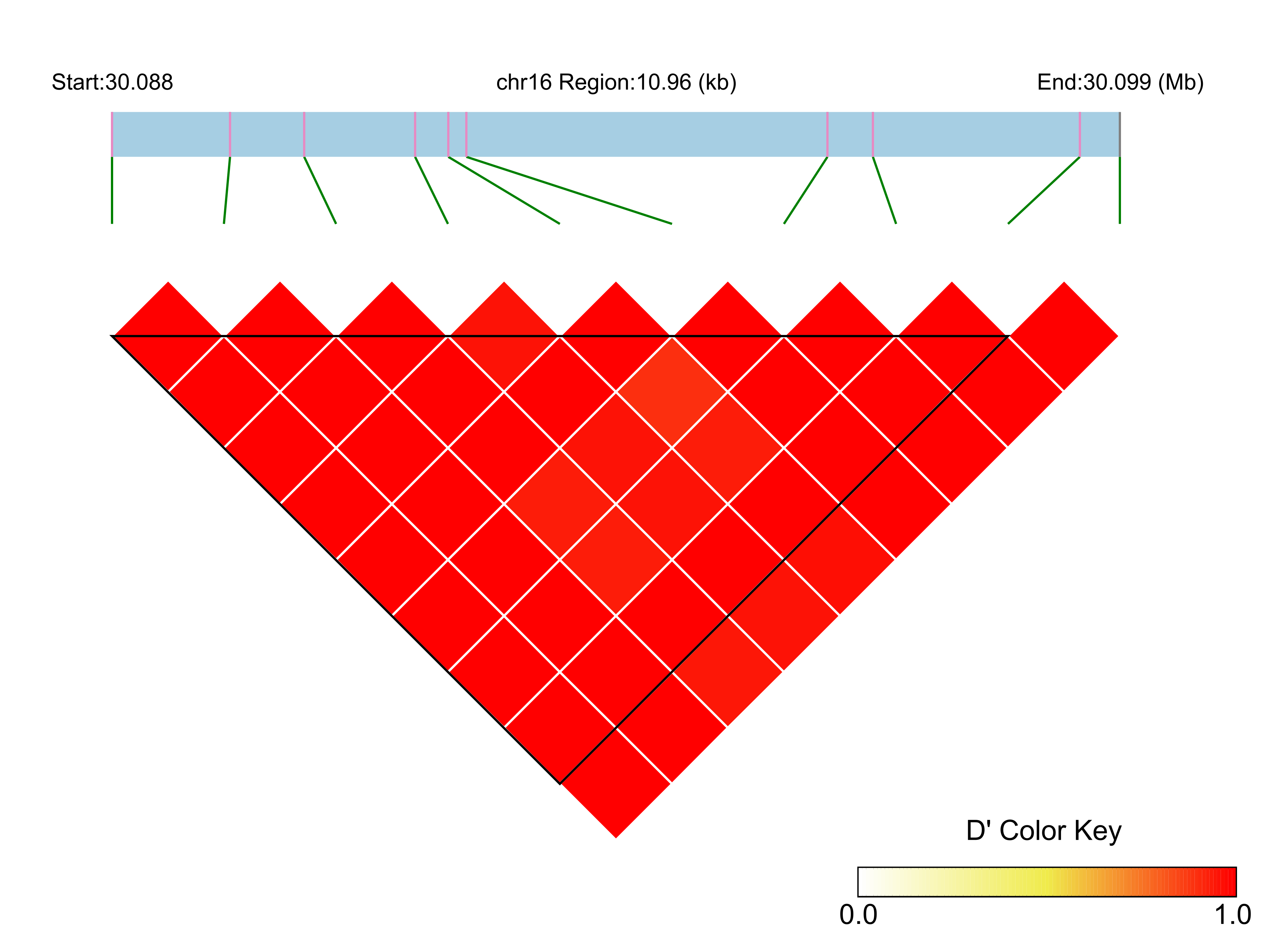 LD