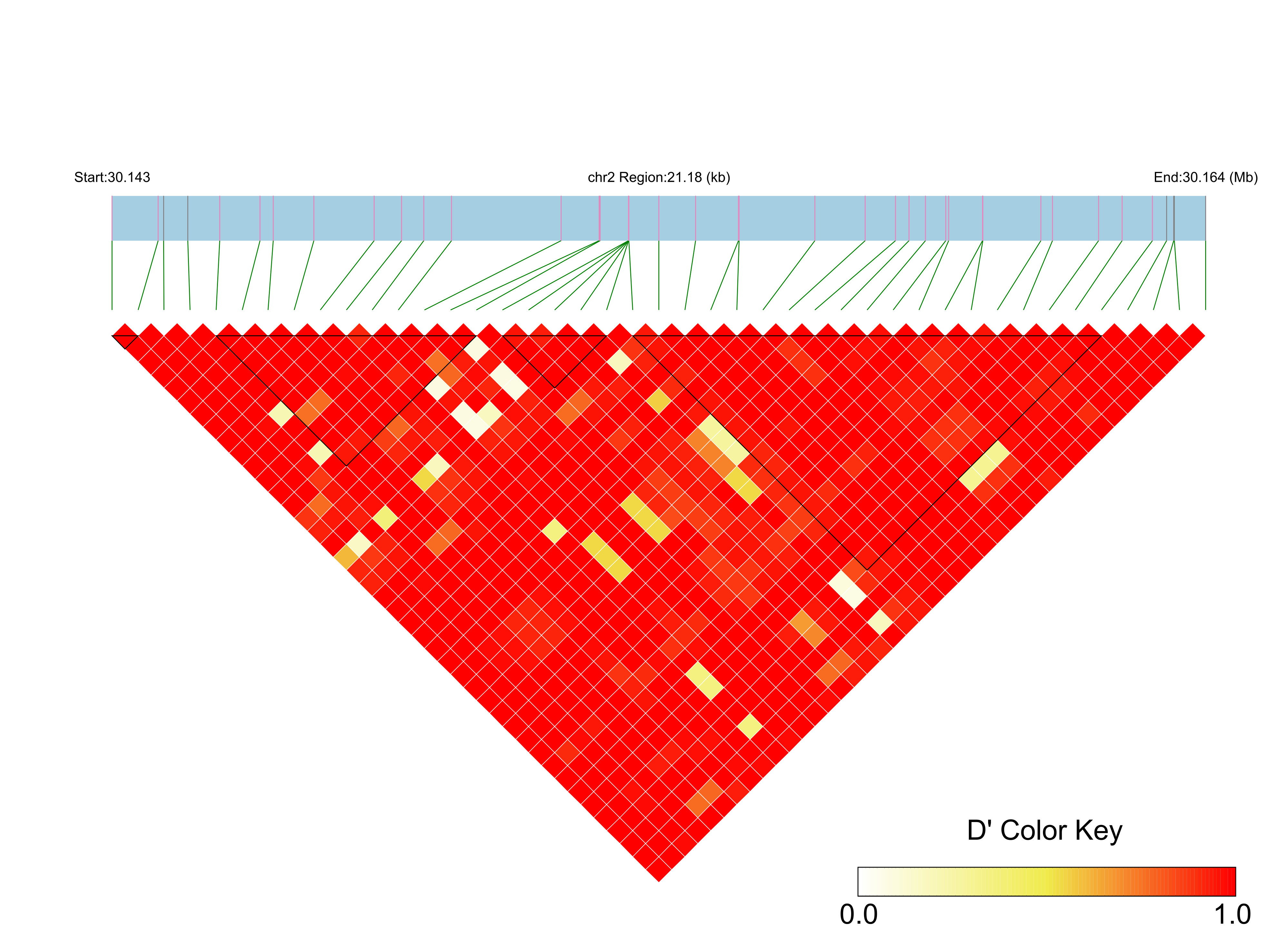 LD