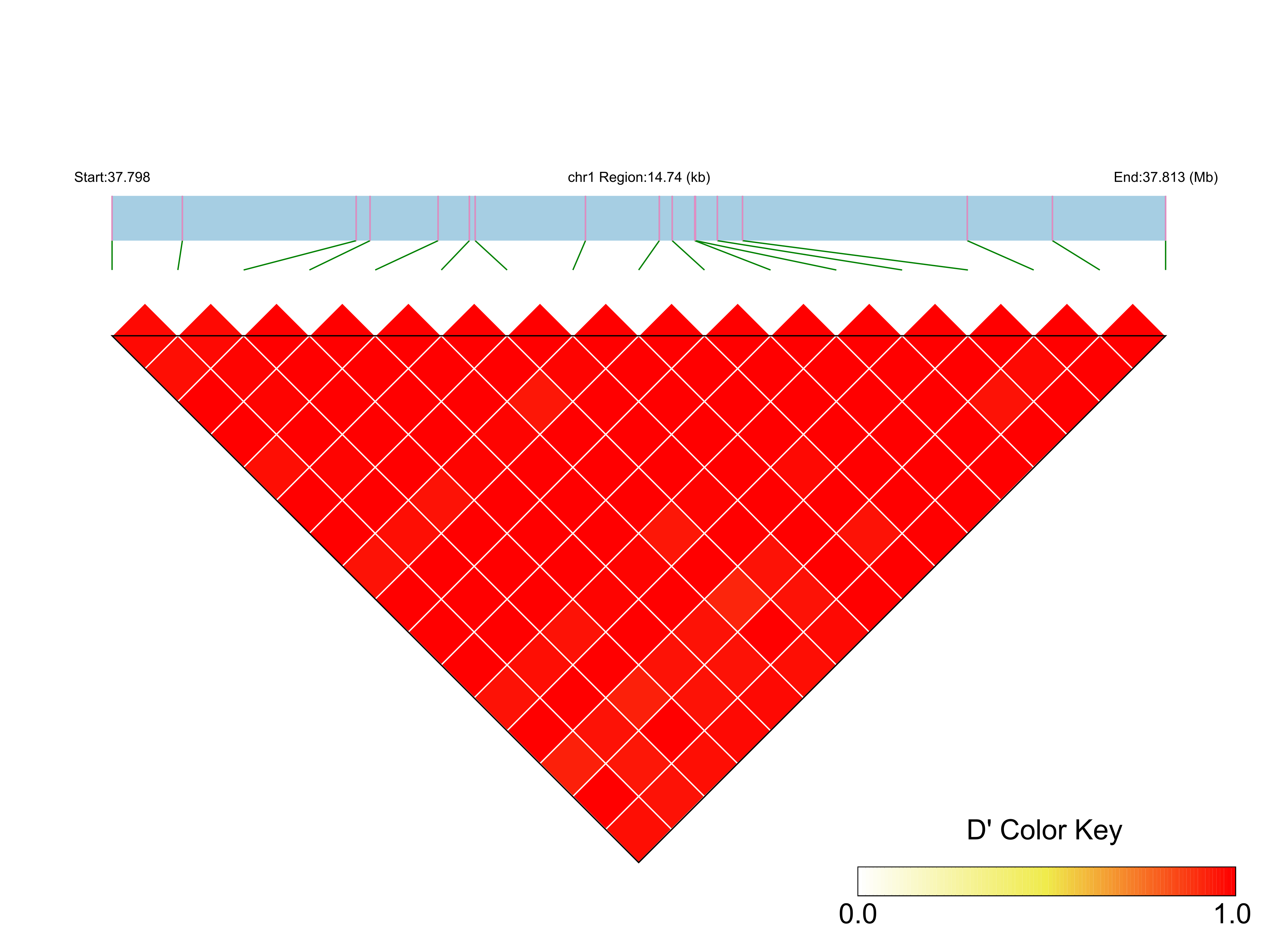 LD