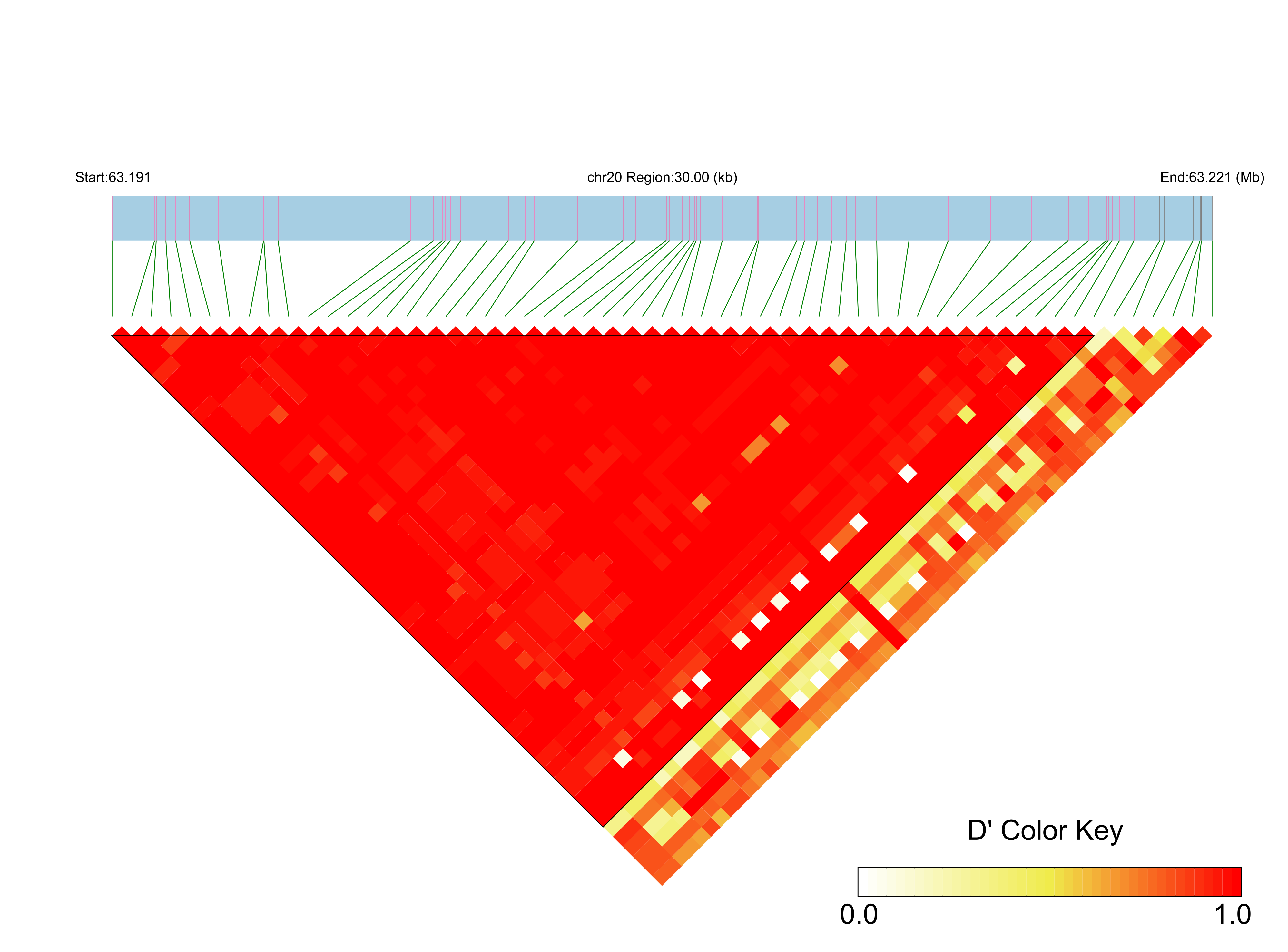 LD