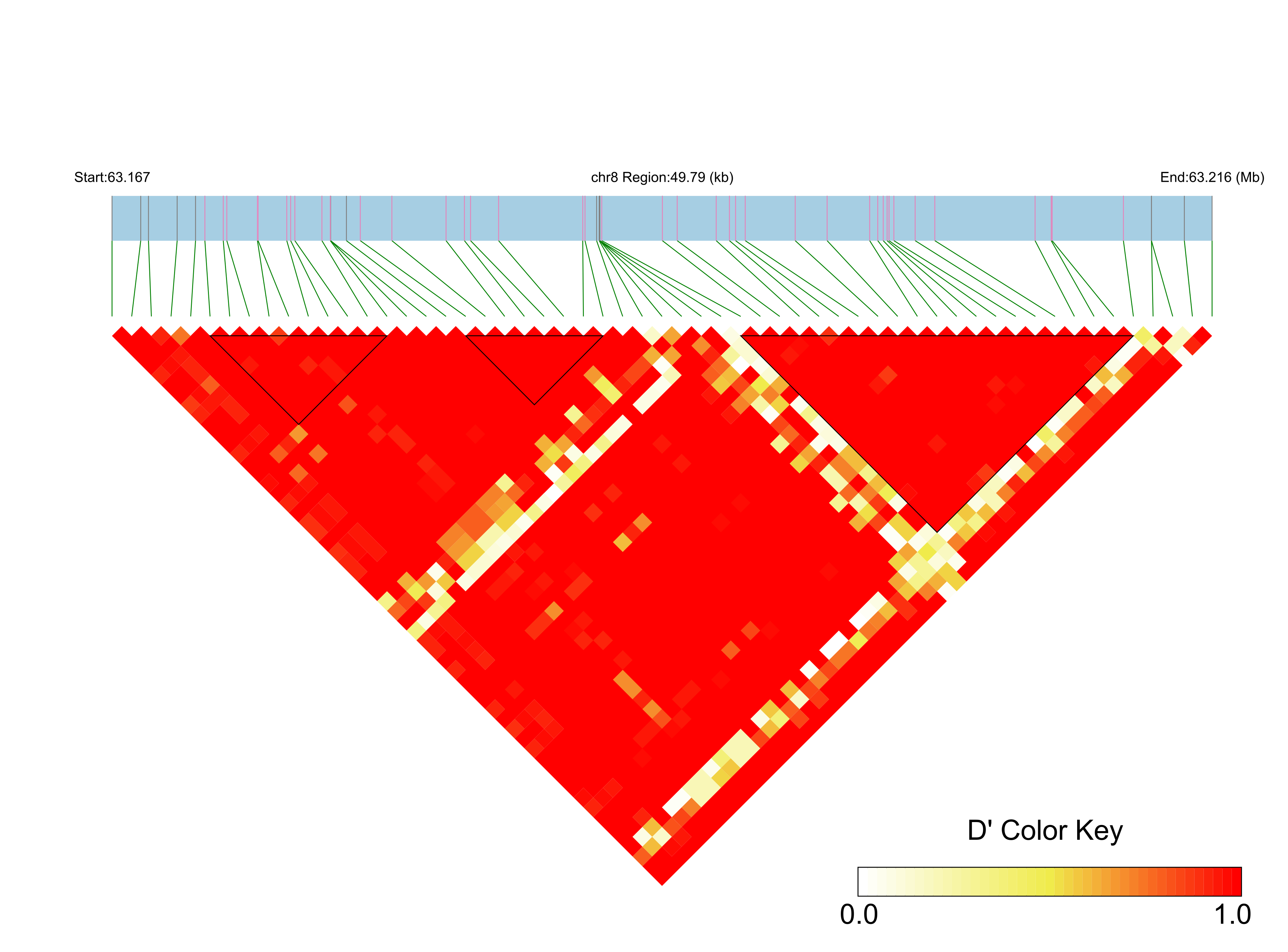 LD