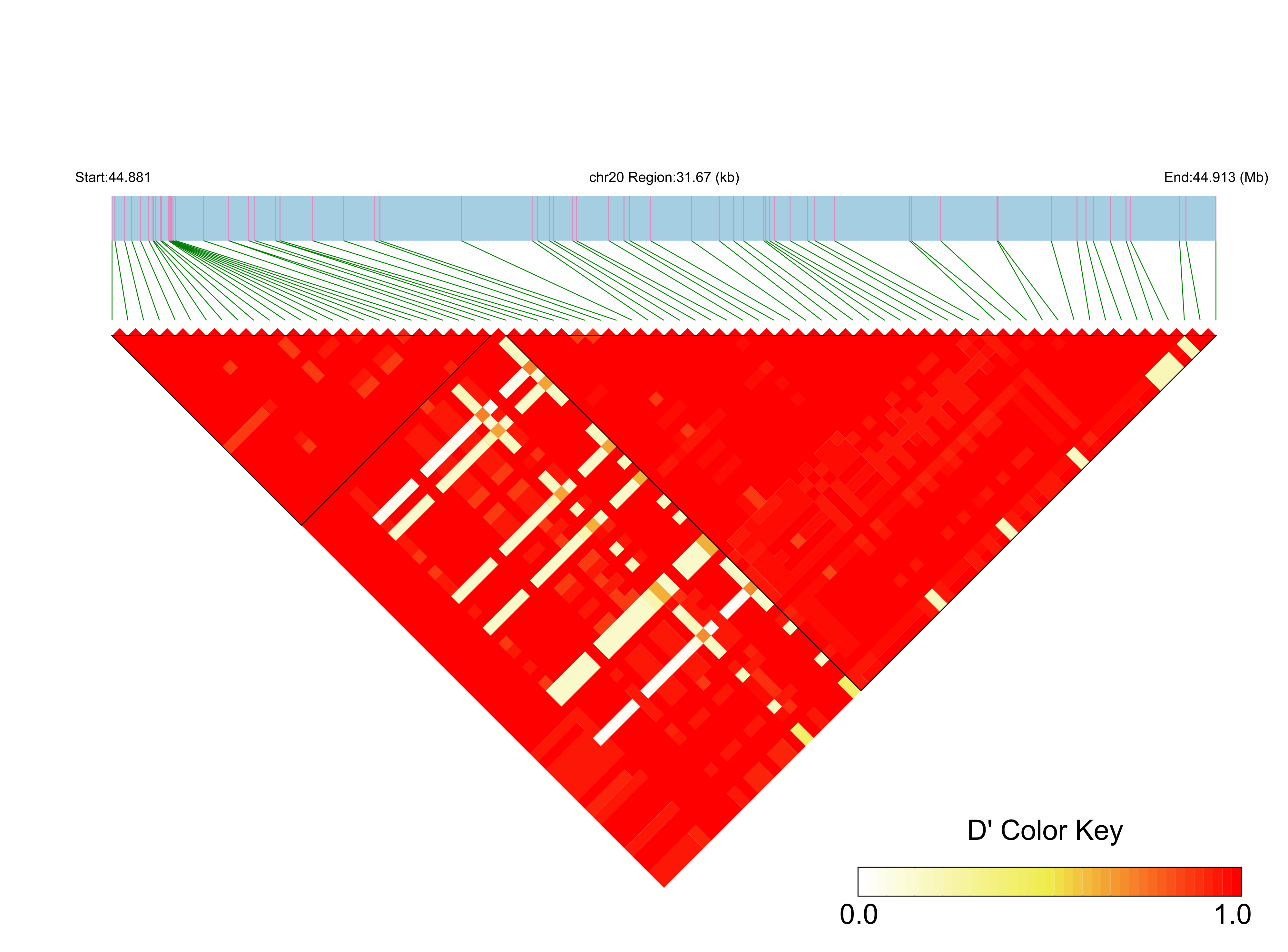 LD