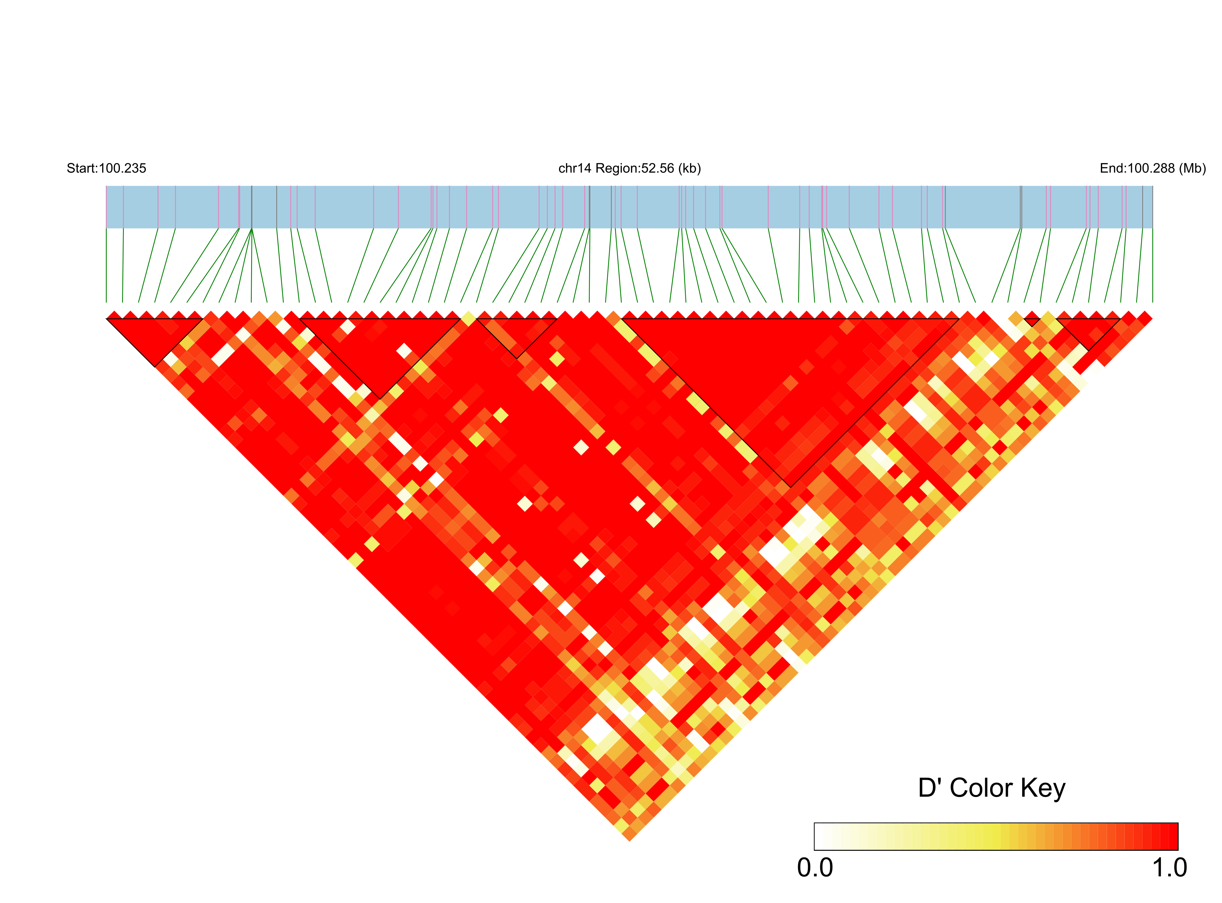 LD