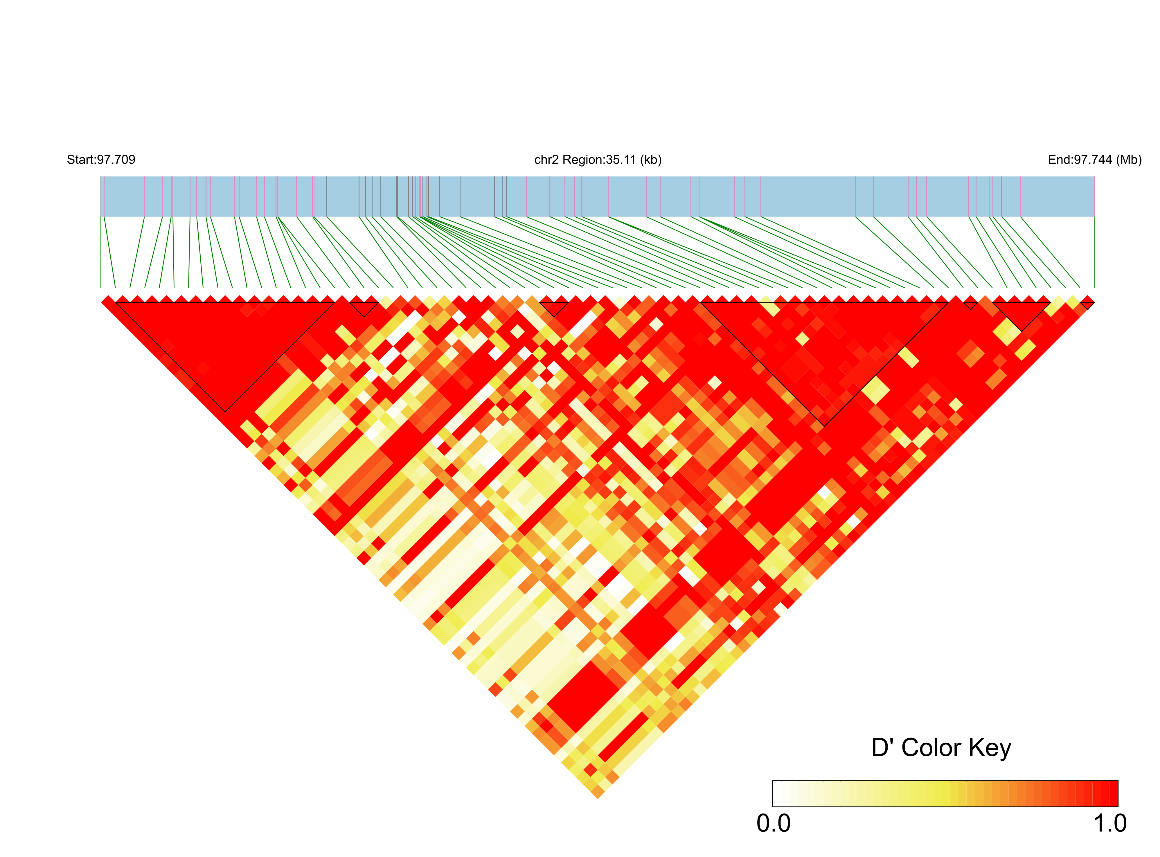 LD