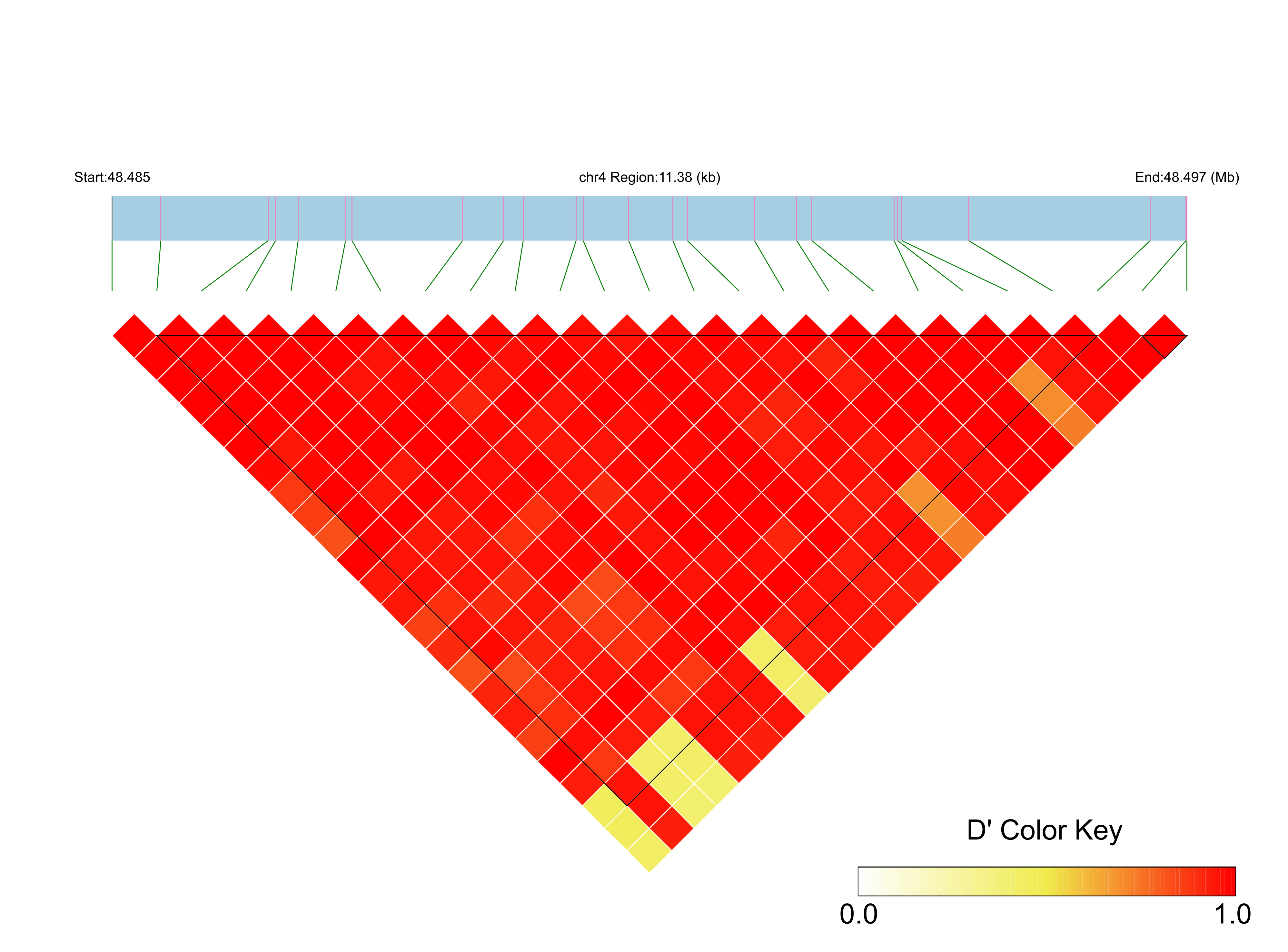 LD