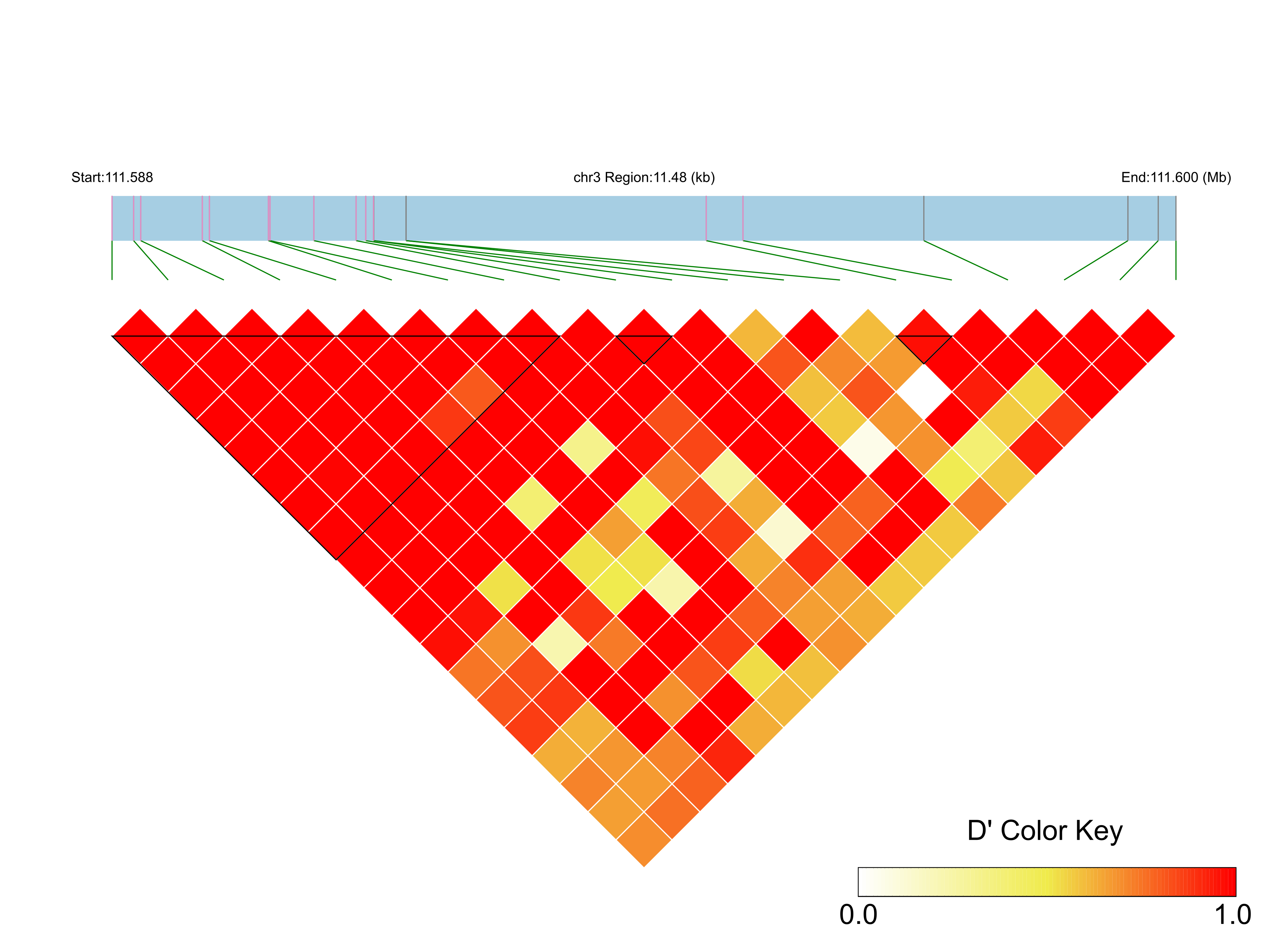 LD