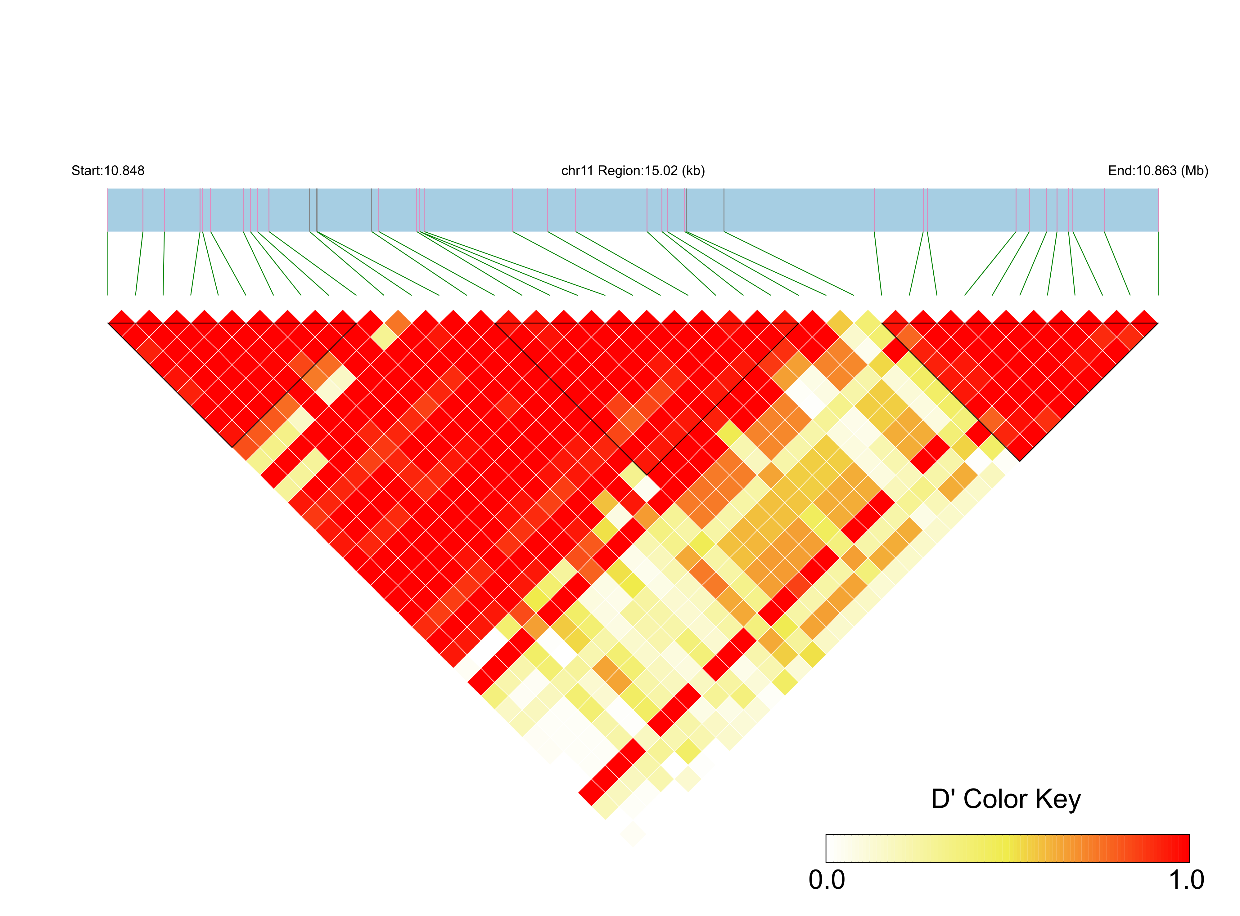 LD