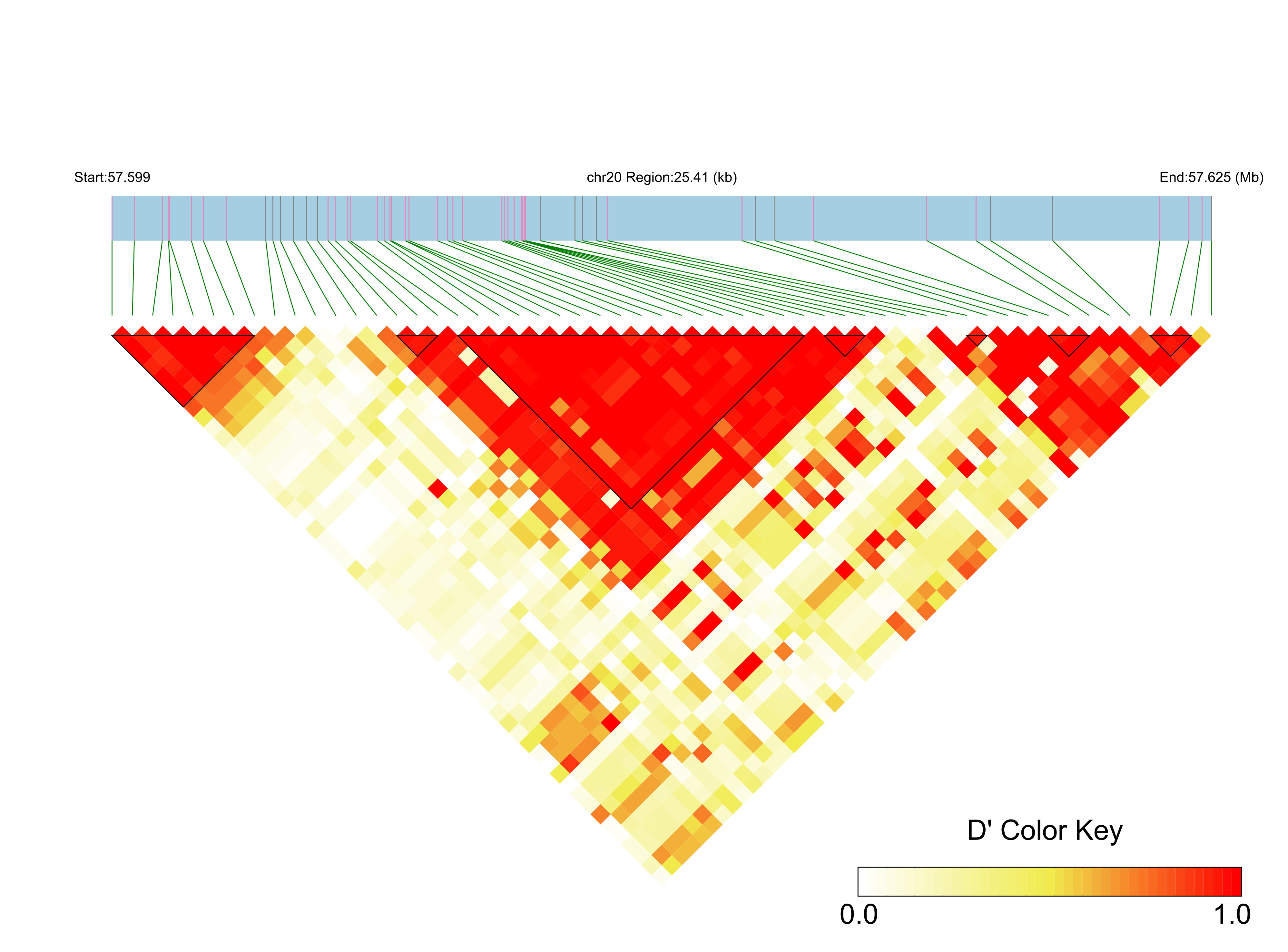 LD