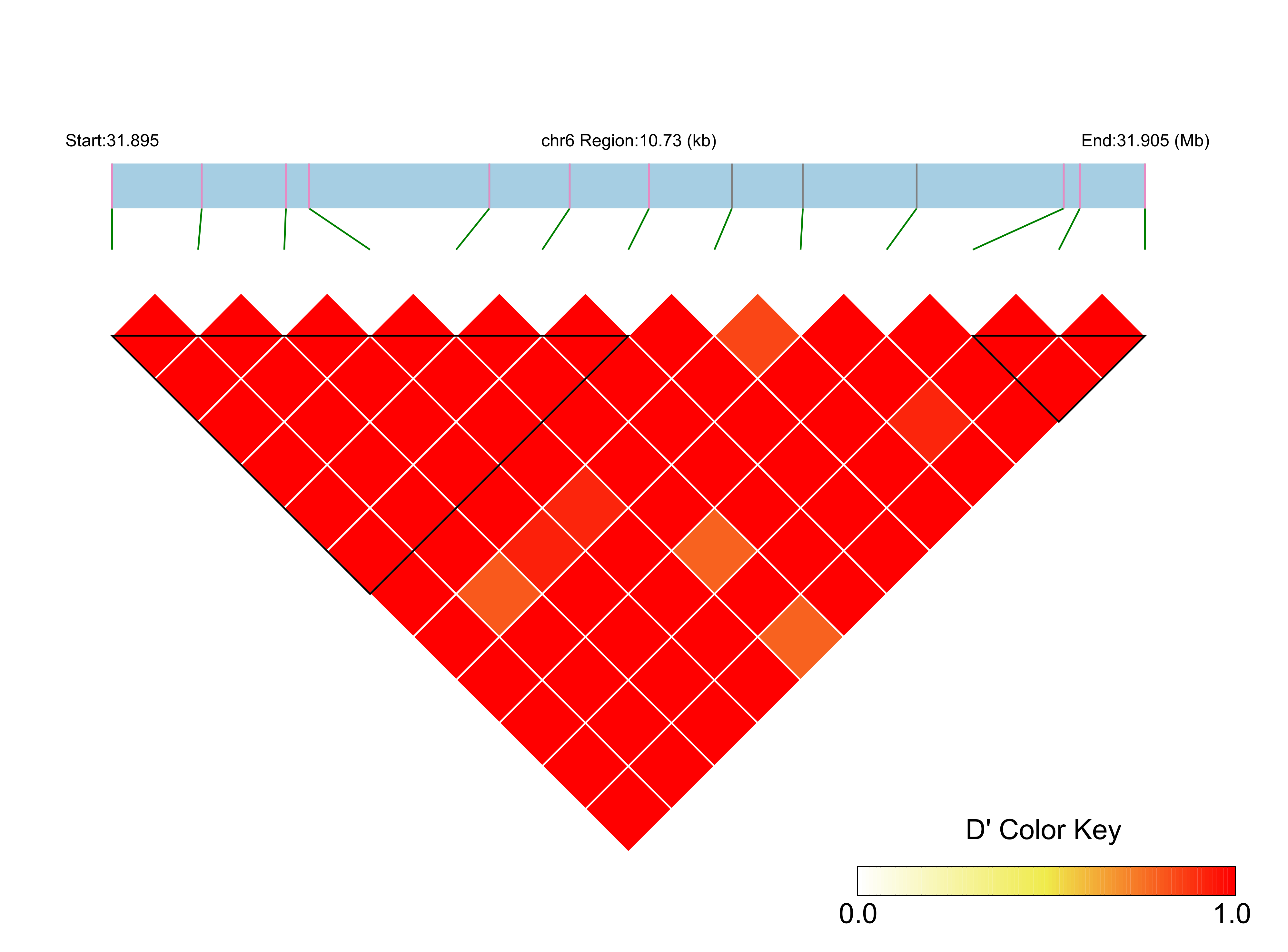 LD