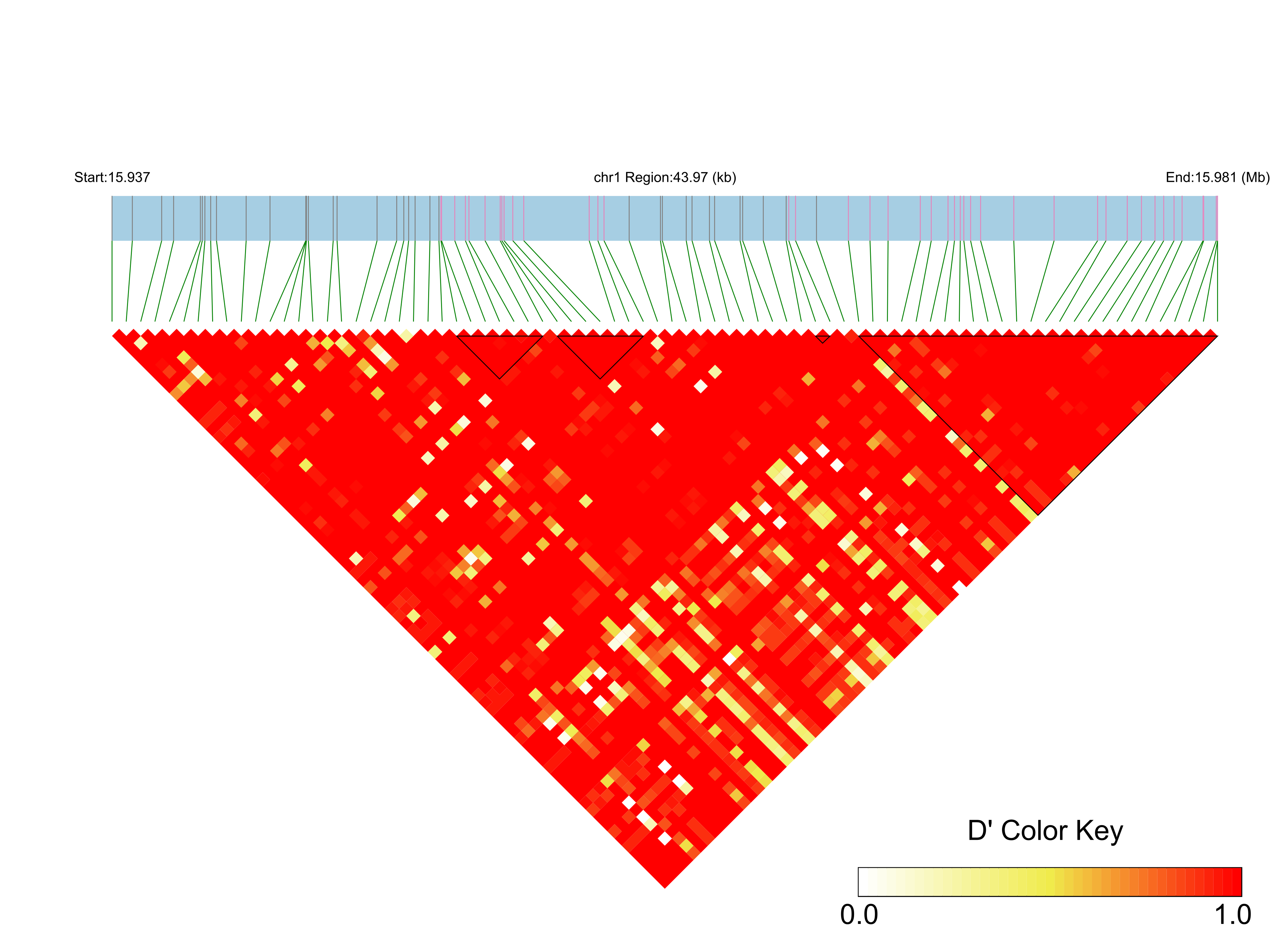 LD